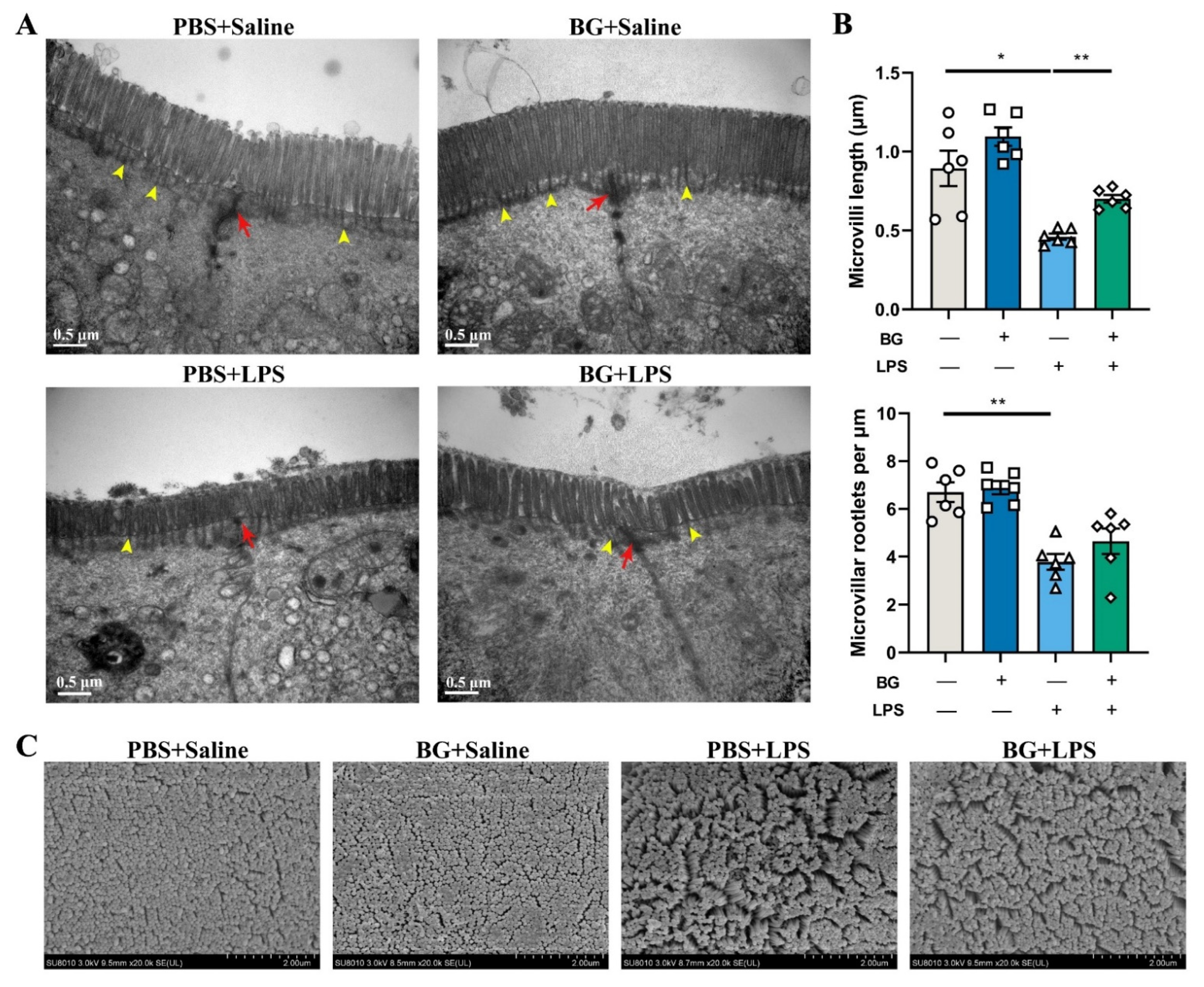 Nutrients 14 03991 g005 Nutrients 14 03991 g005
