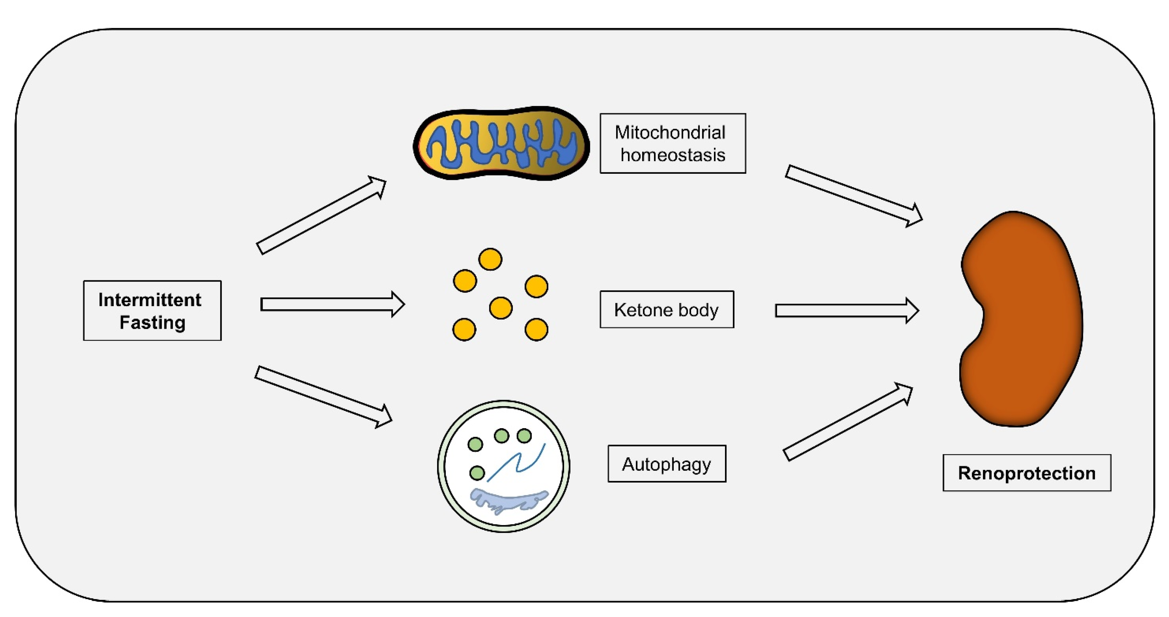 Nutrients 14 03995 g002 Nutrients 14 03995 g002