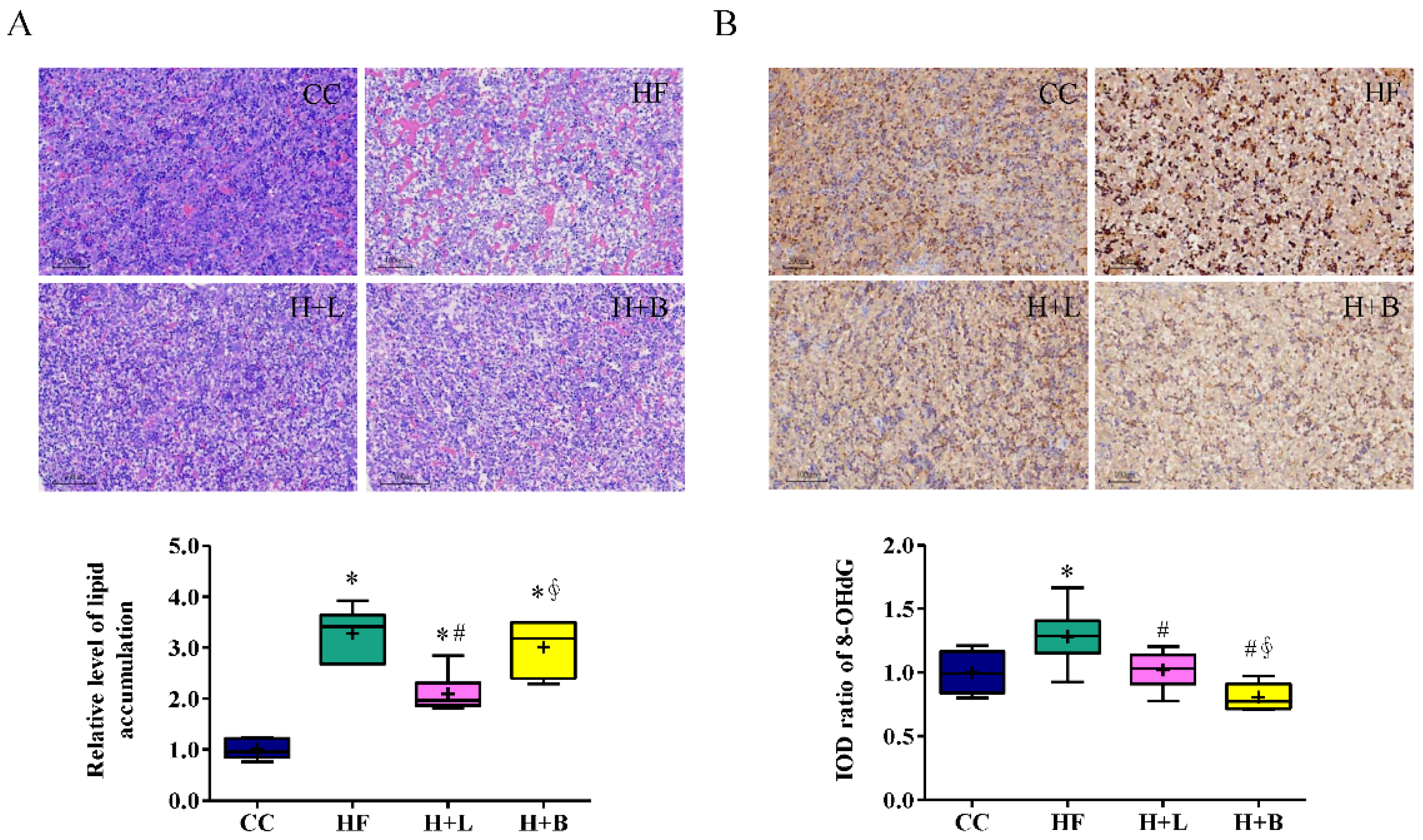 Nutrients 14 04004 g004