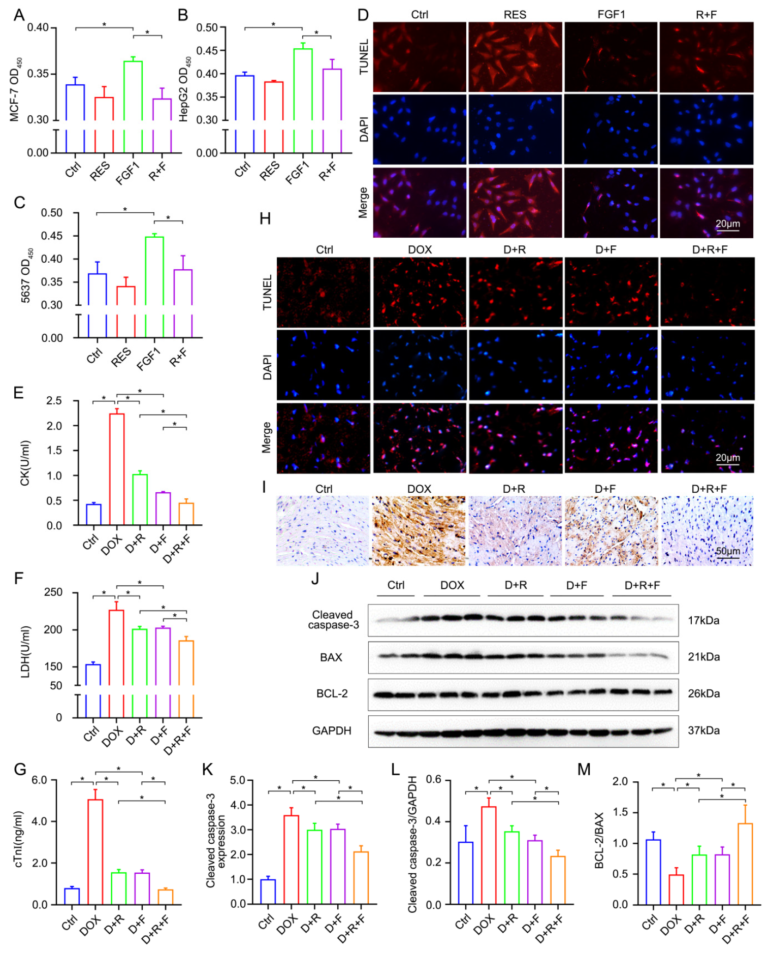 Nutrients 14 04017 g001 Nutrients 14 04017 g001