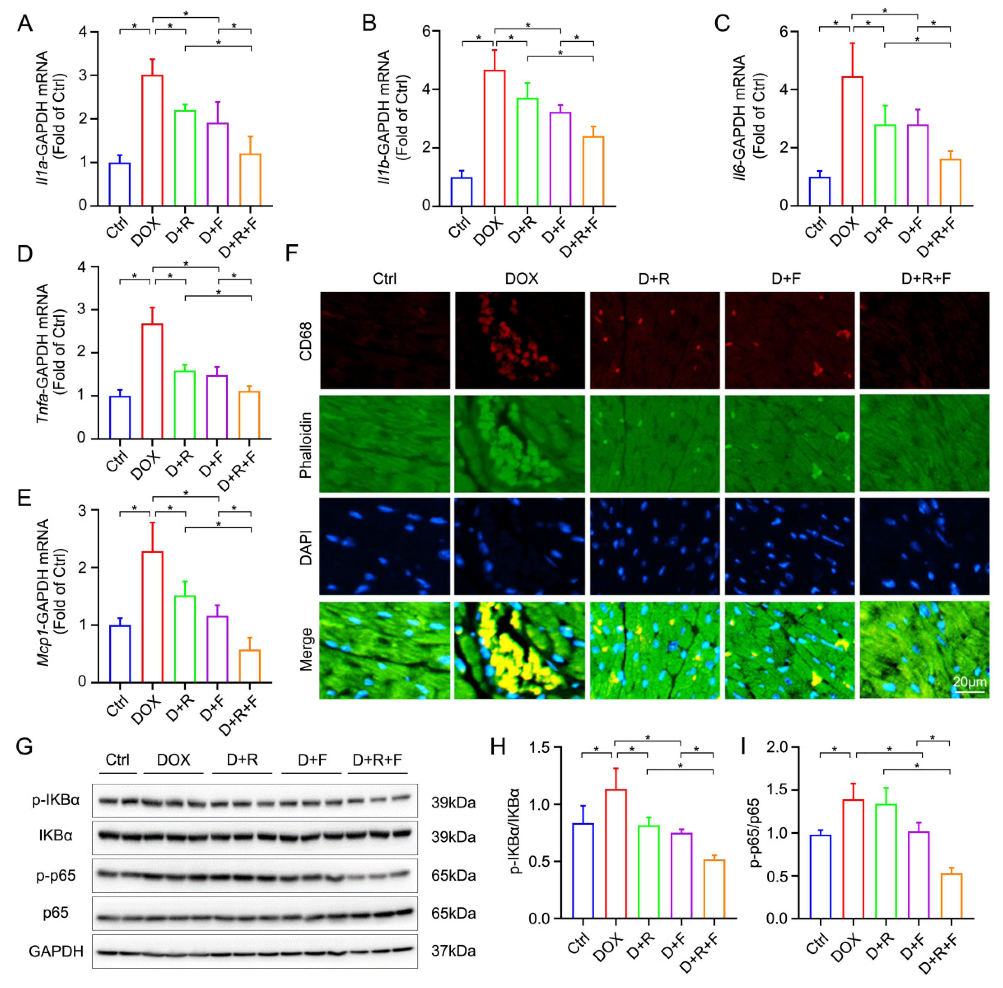 Nutrients 14 04017 g002 Nutrients 14 04017 g002