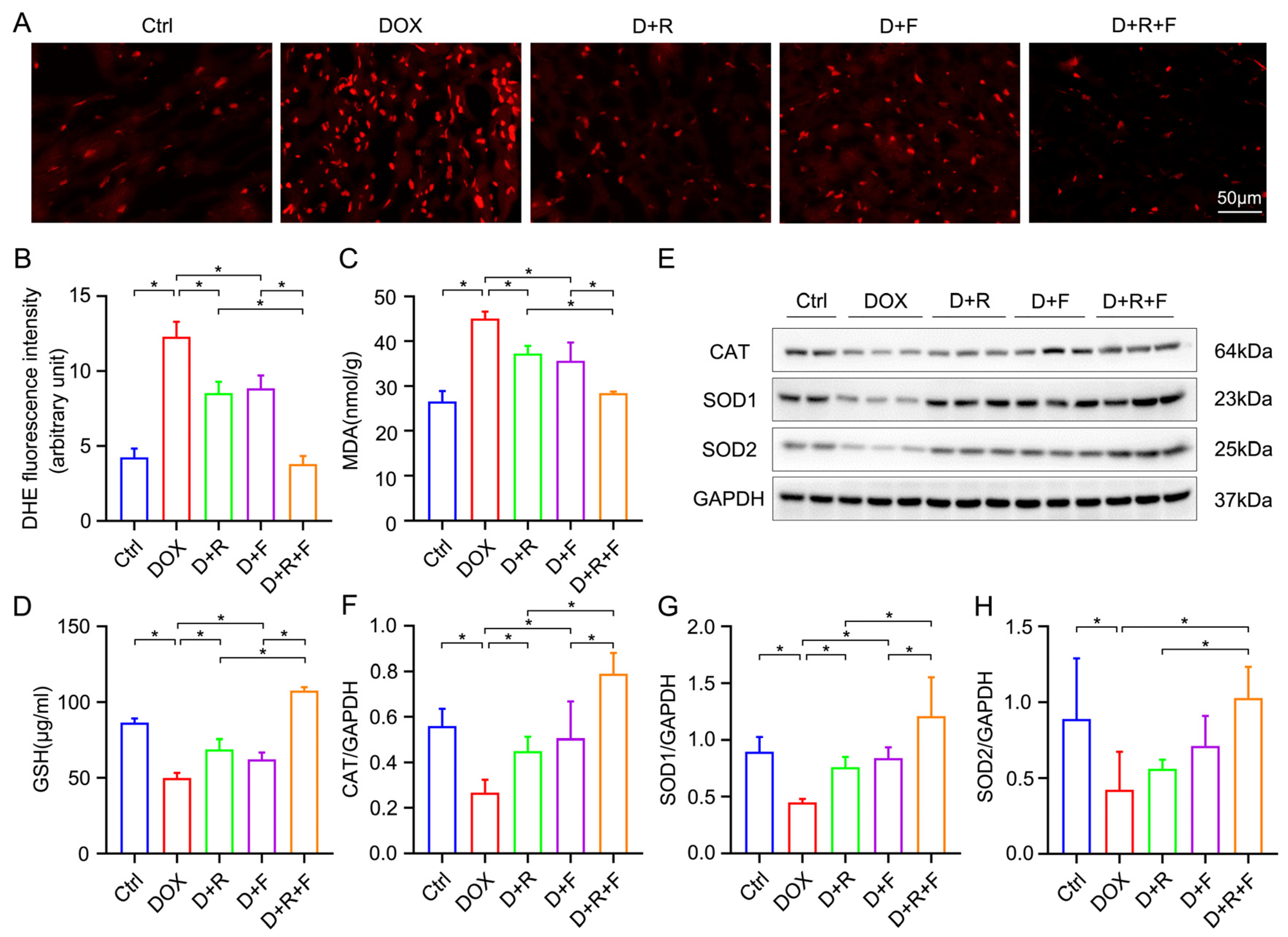Nutrients 14 04017 g003 Nutrients 14 04017 g003