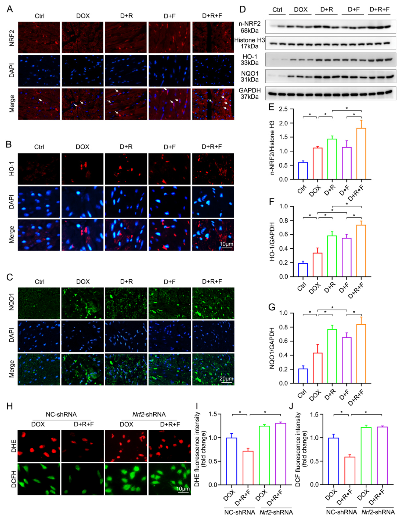 Nutrients 14 04017 g004 Nutrients 14 04017 g004