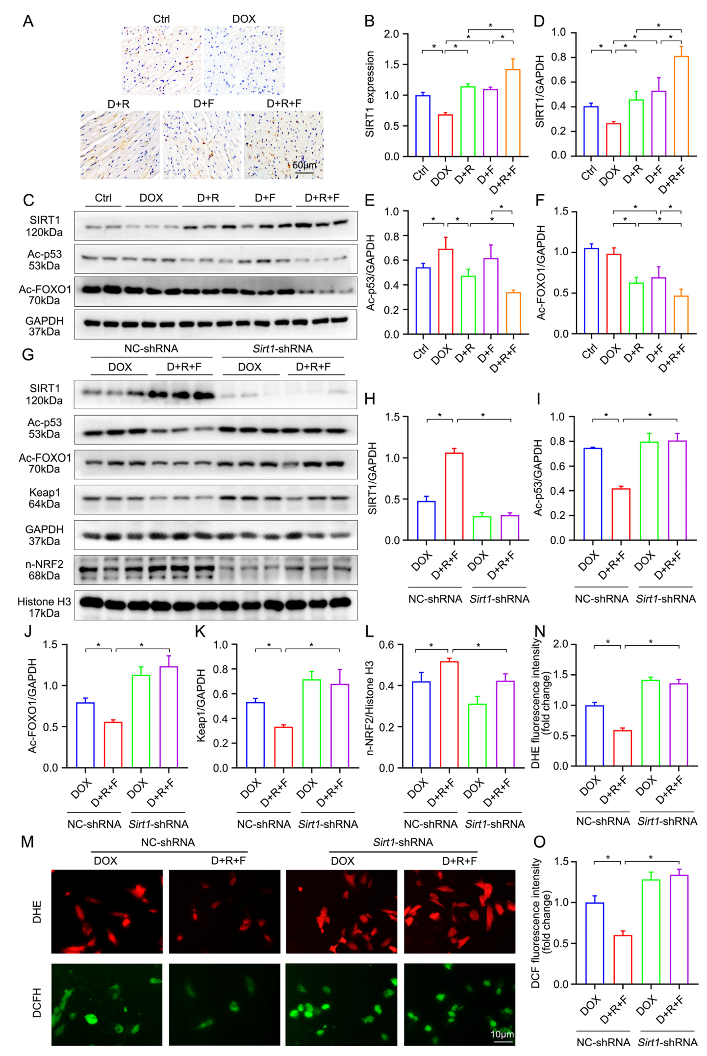 Nutrients 14 04017 g005 Nutrients 14 04017 g005