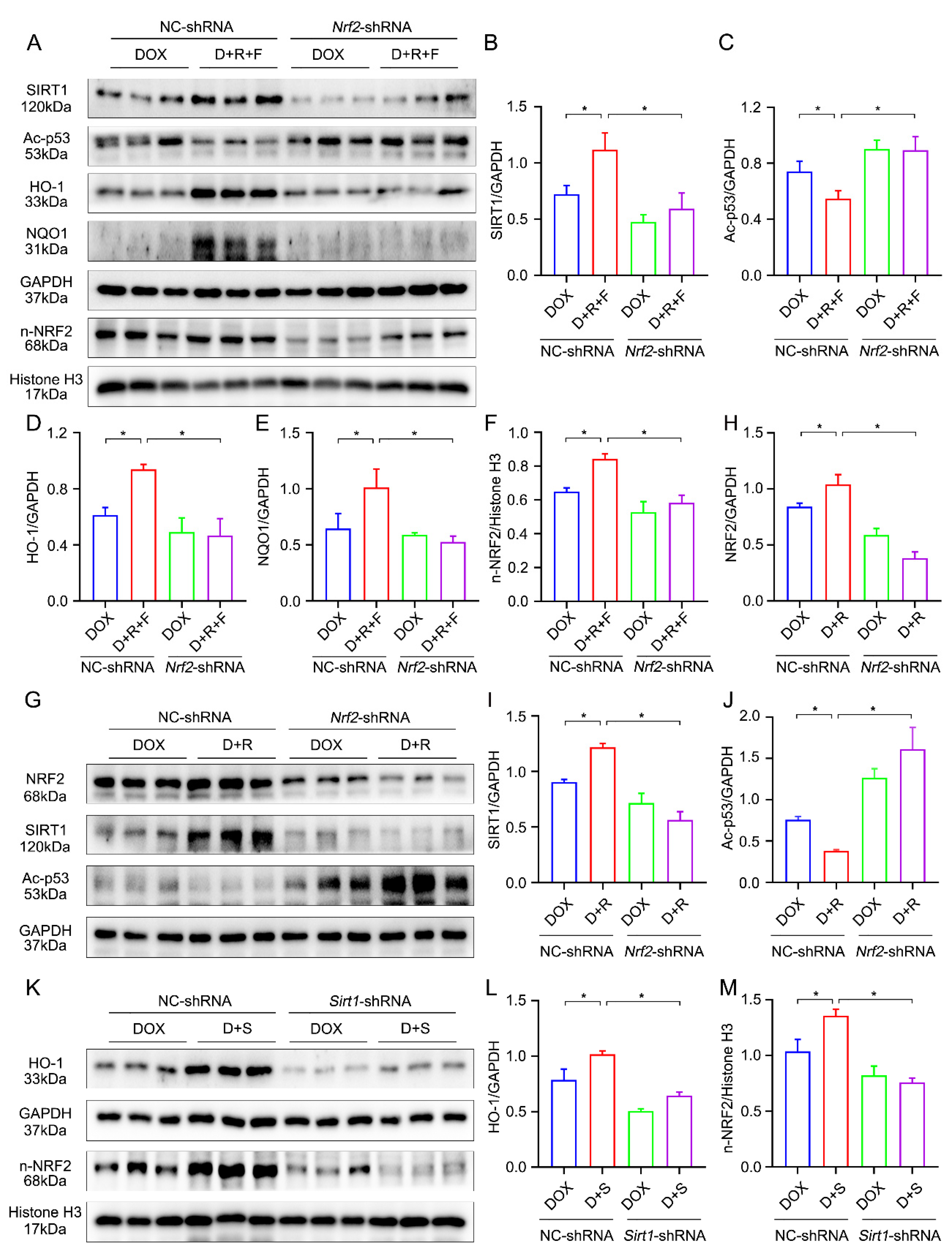 Nutrients 14 04017 g006 Nutrients 14 04017 g006