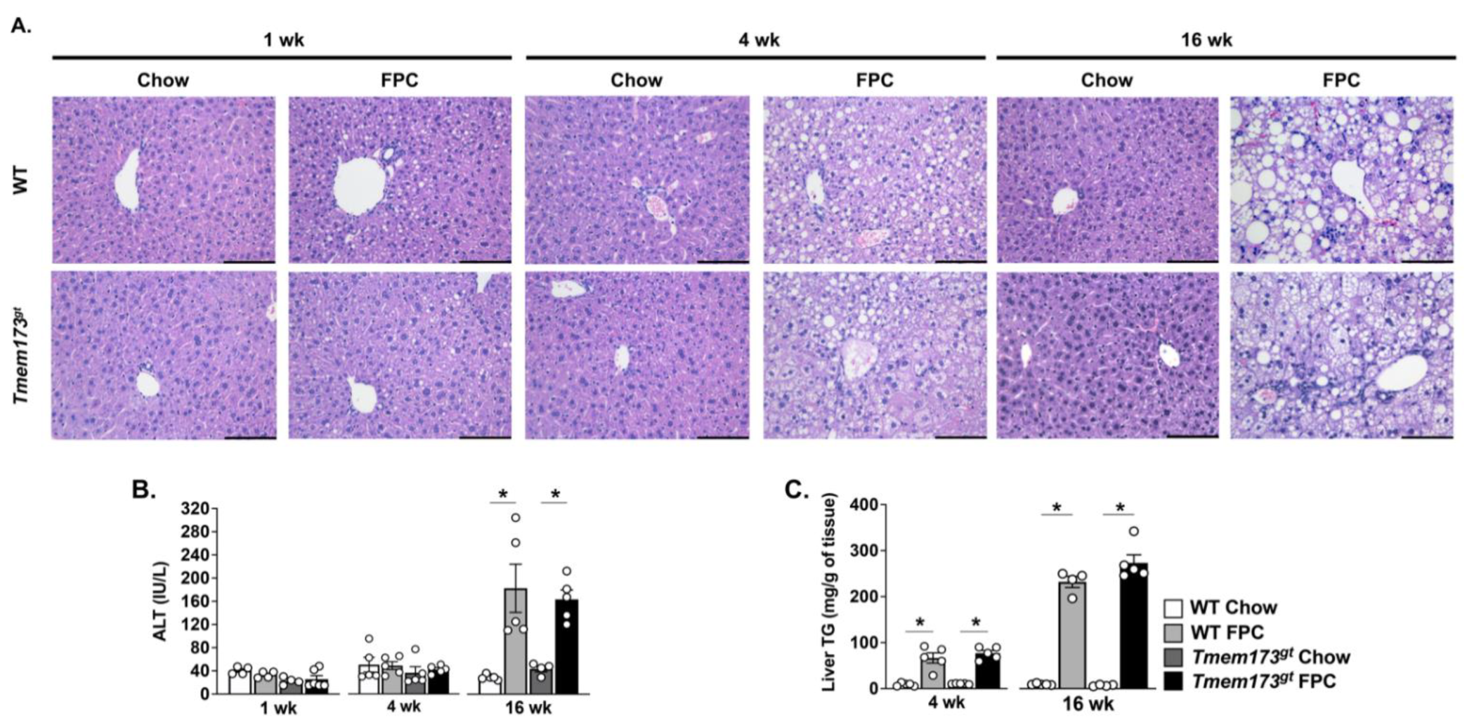 Nutrients 14 04029 g003 550