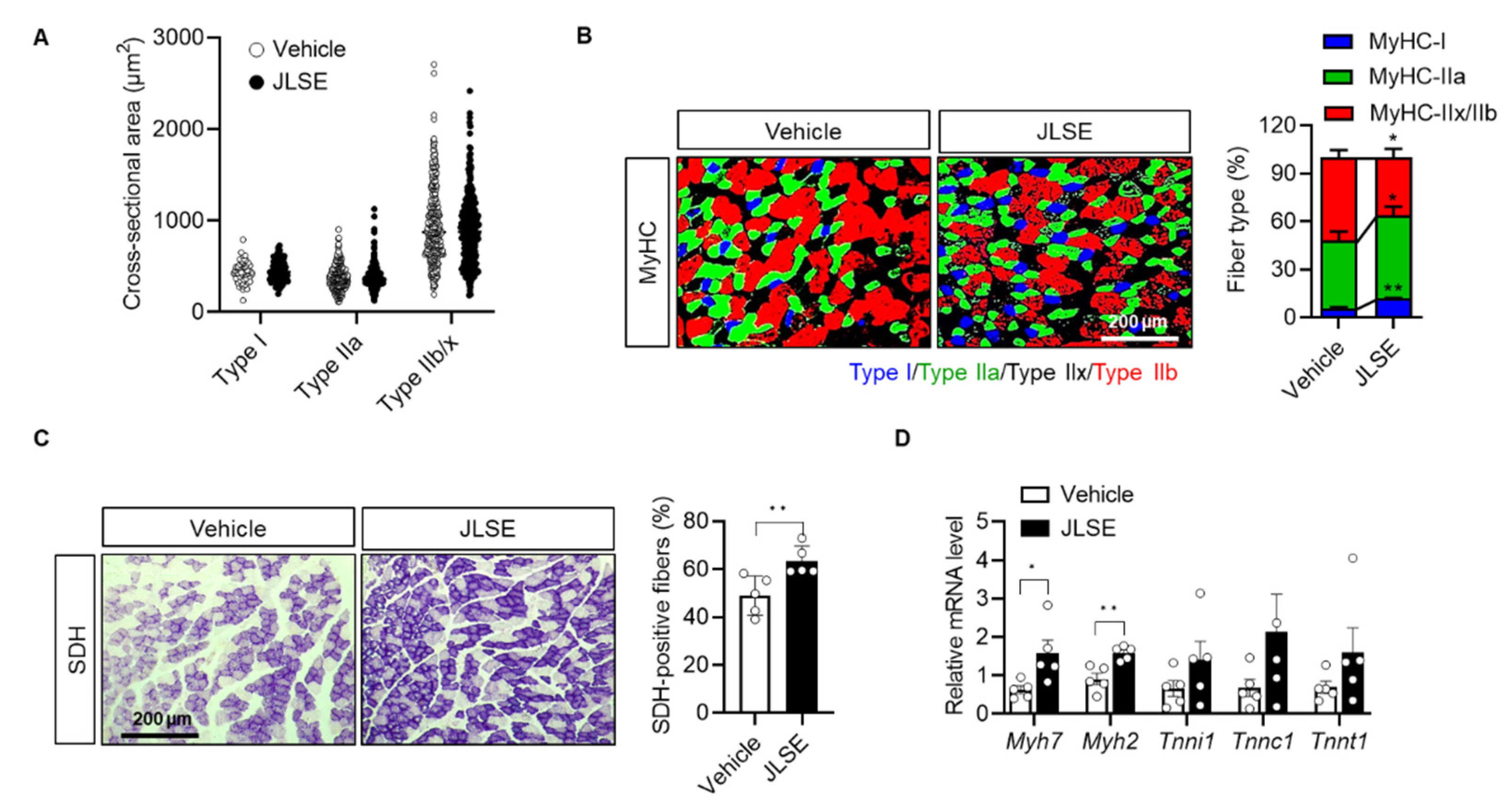 Nutrients 14 04033 g004