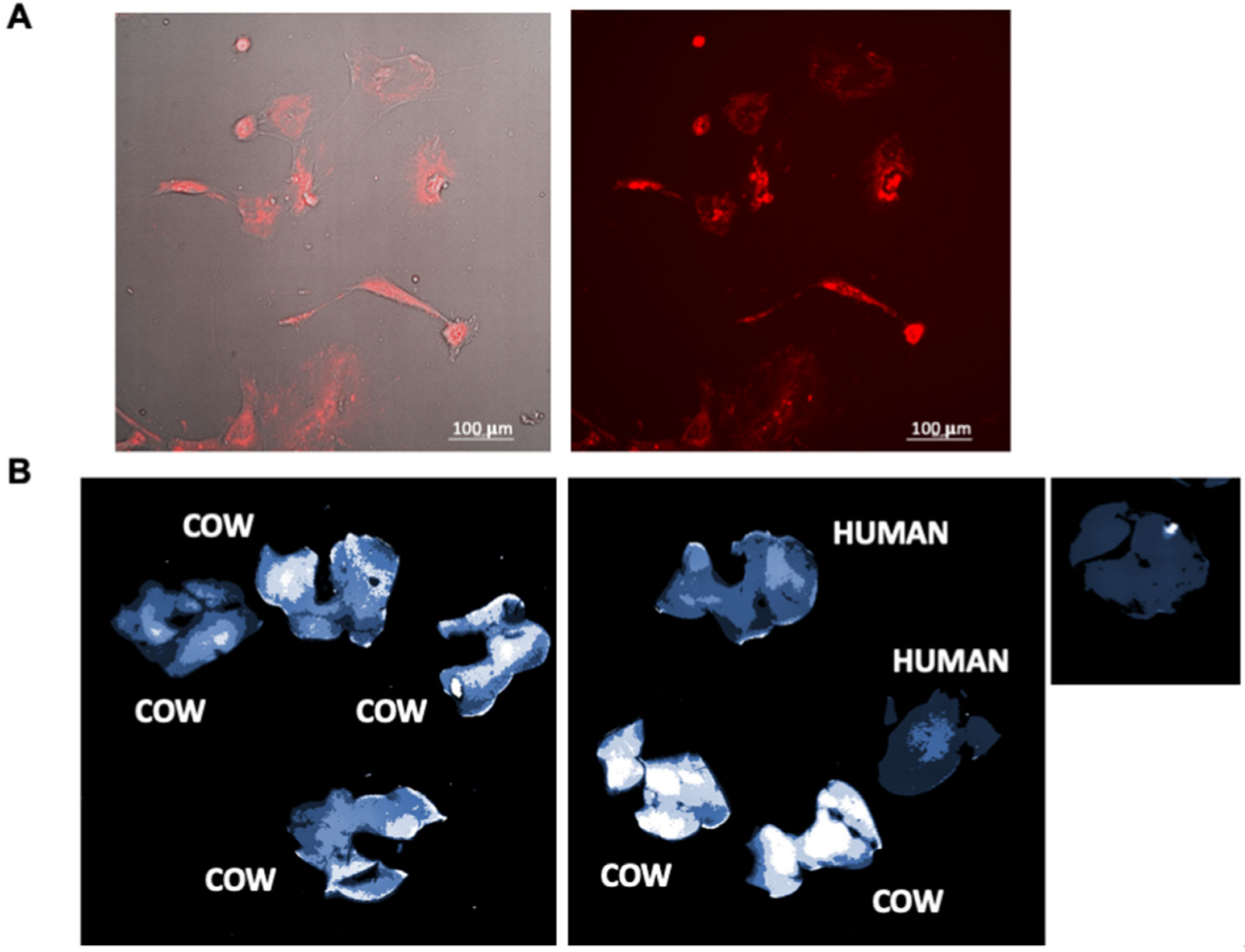Nutrients 14 04049 g002