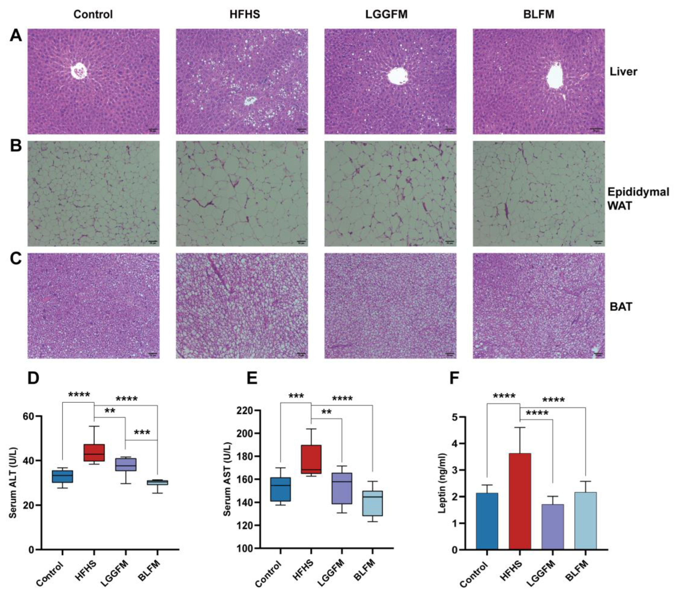 Nutrients 14 04050 g003 Nutrients 14 04050 g003