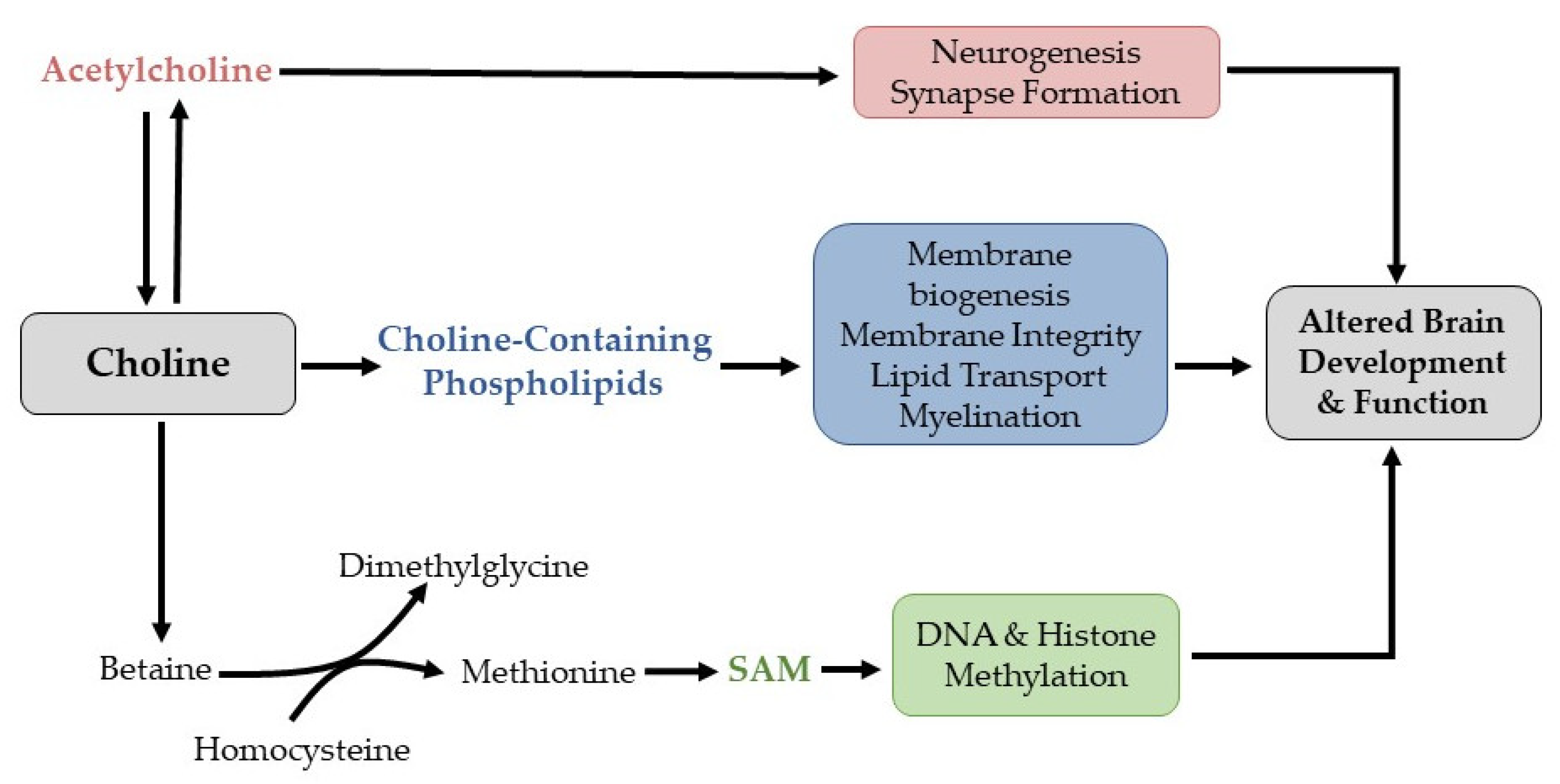 Nutrients 14 04056 g001