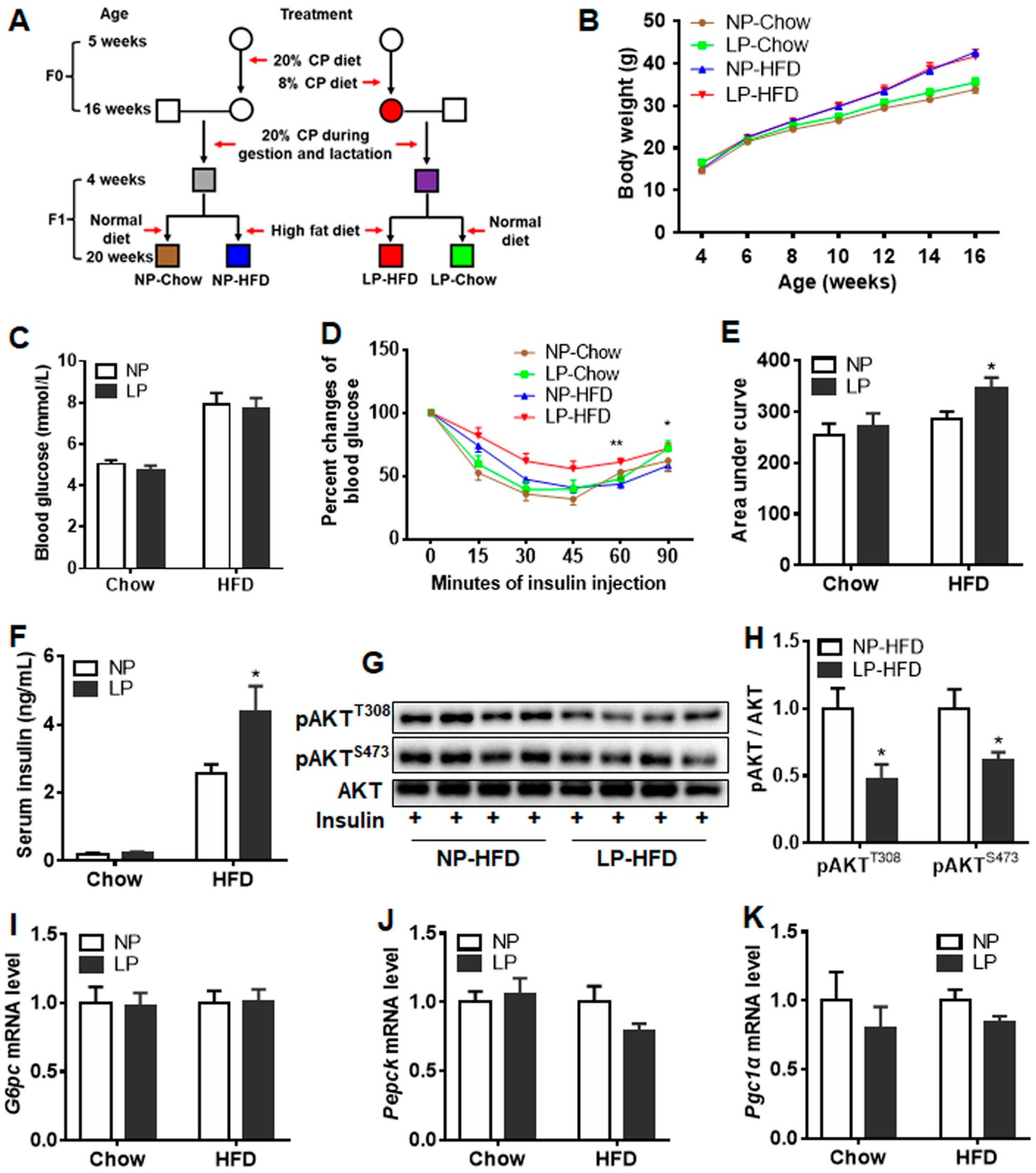 Nutrients 14 04057 g001 Nutrients 14 04057 g001