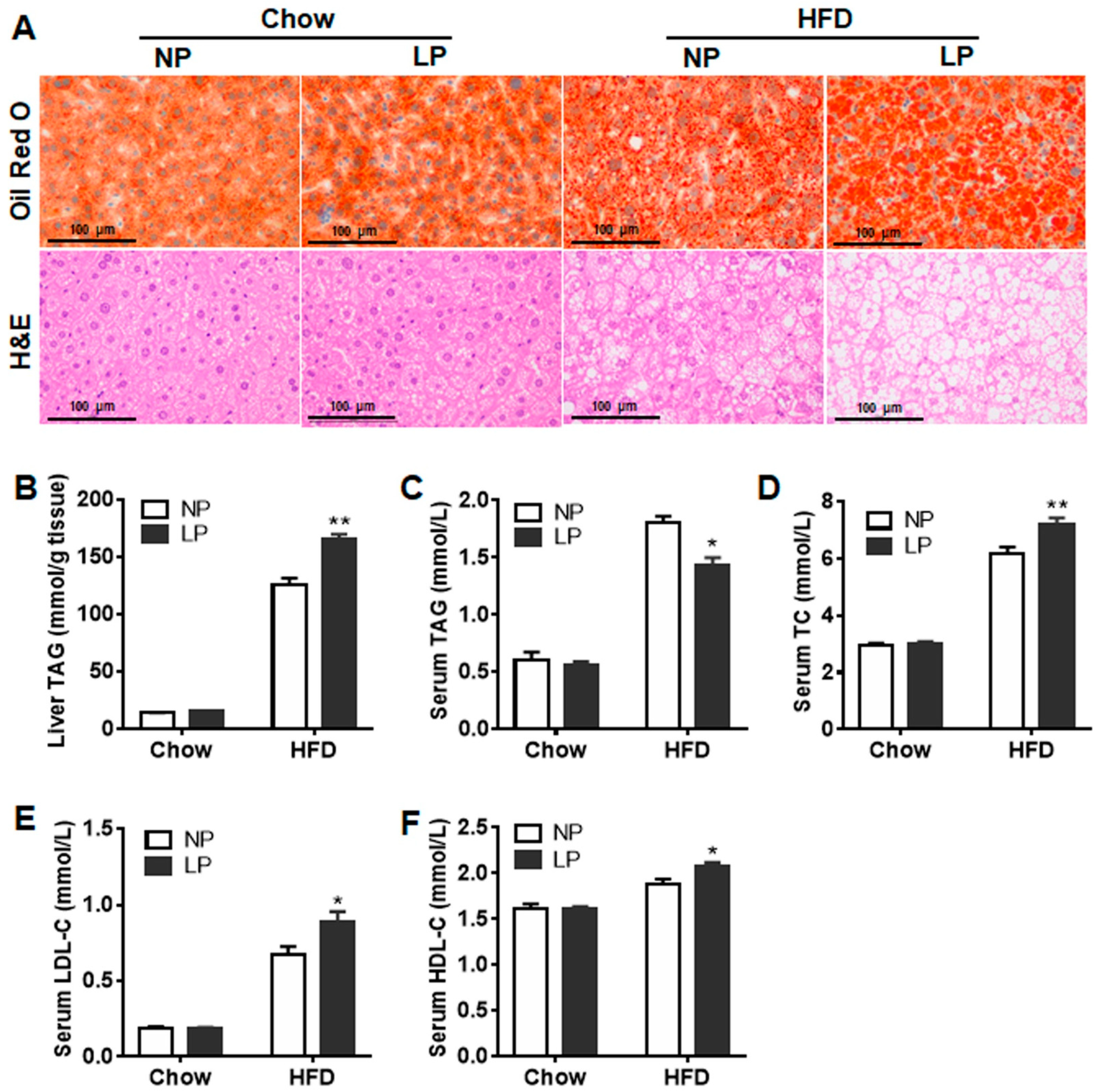 Nutrients 14 04057 g002 Nutrients 14 04057 g002