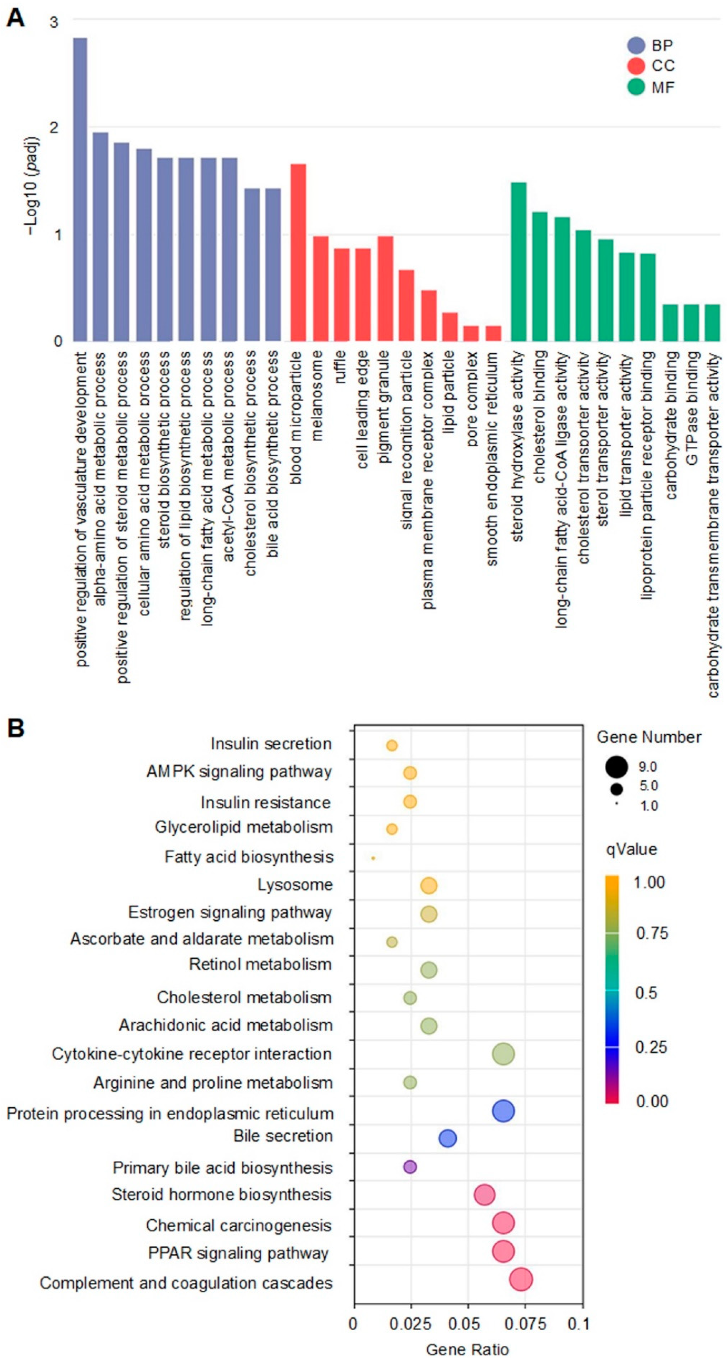 Nutrients 14 04057 g004 Nutrients 14 04057 g004