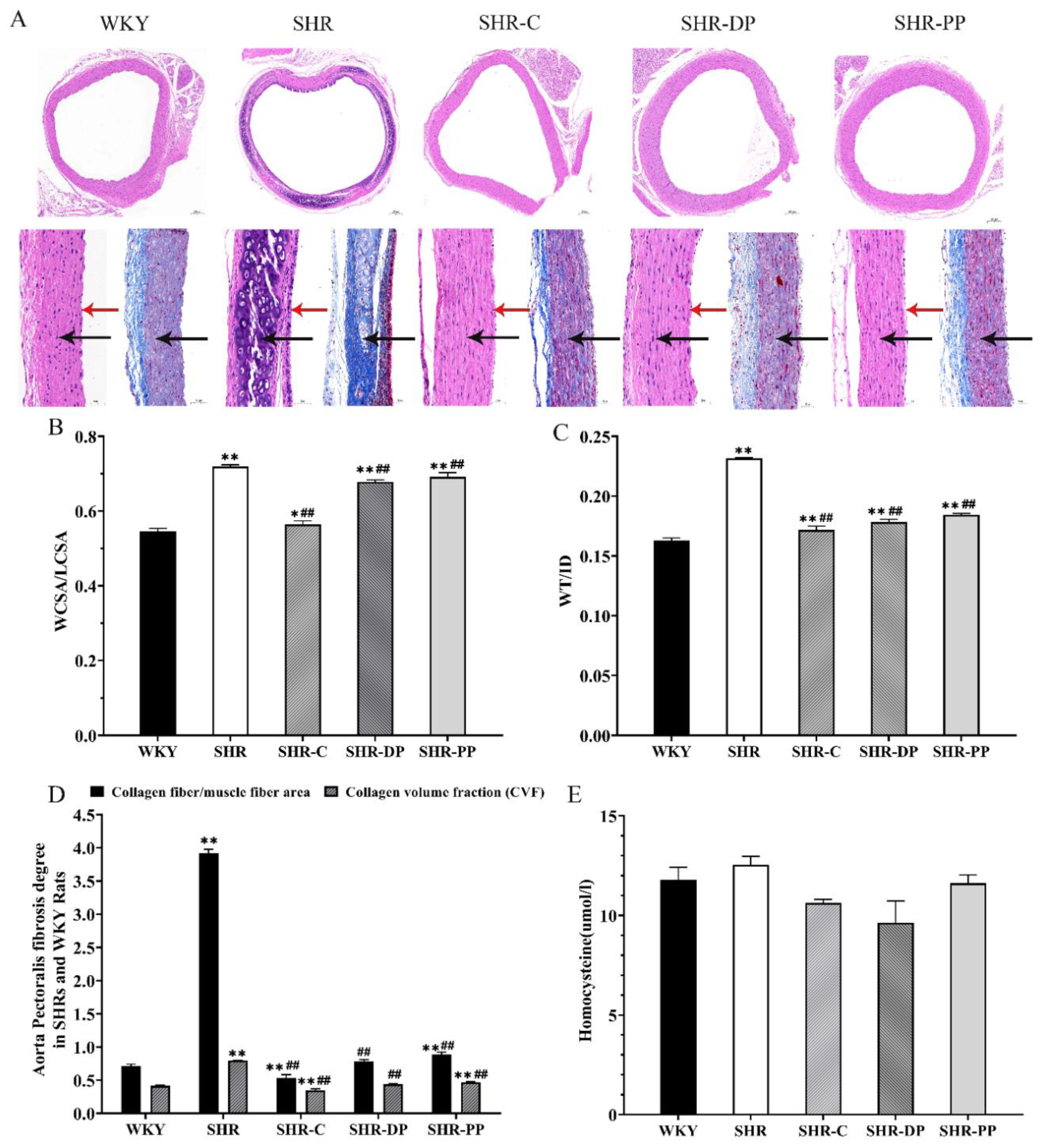 Nutrients 14 04069 g003