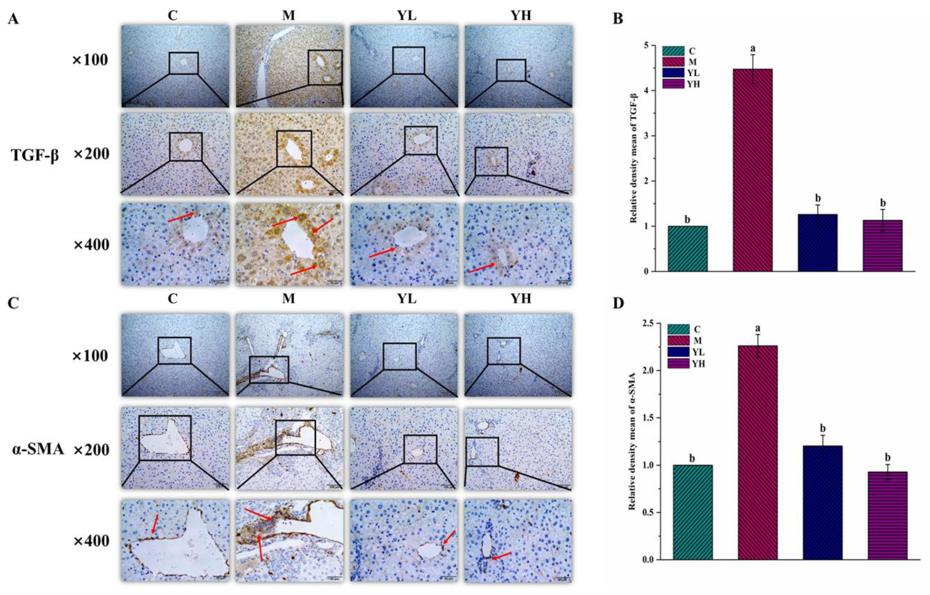 Nutrients 14 04090 g006 Nutrients 14 04090 g006