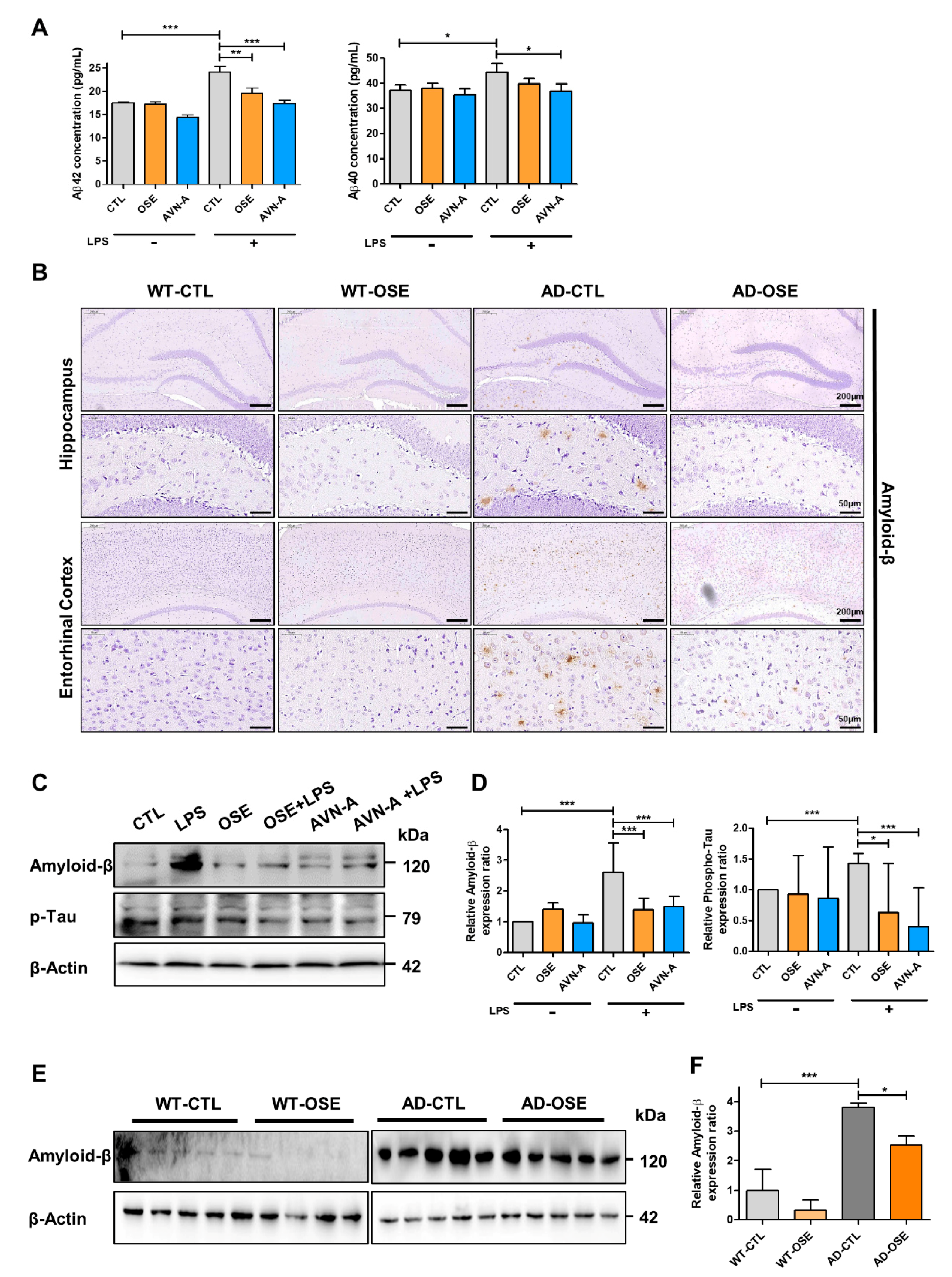 Nutrients 14 04103 g002