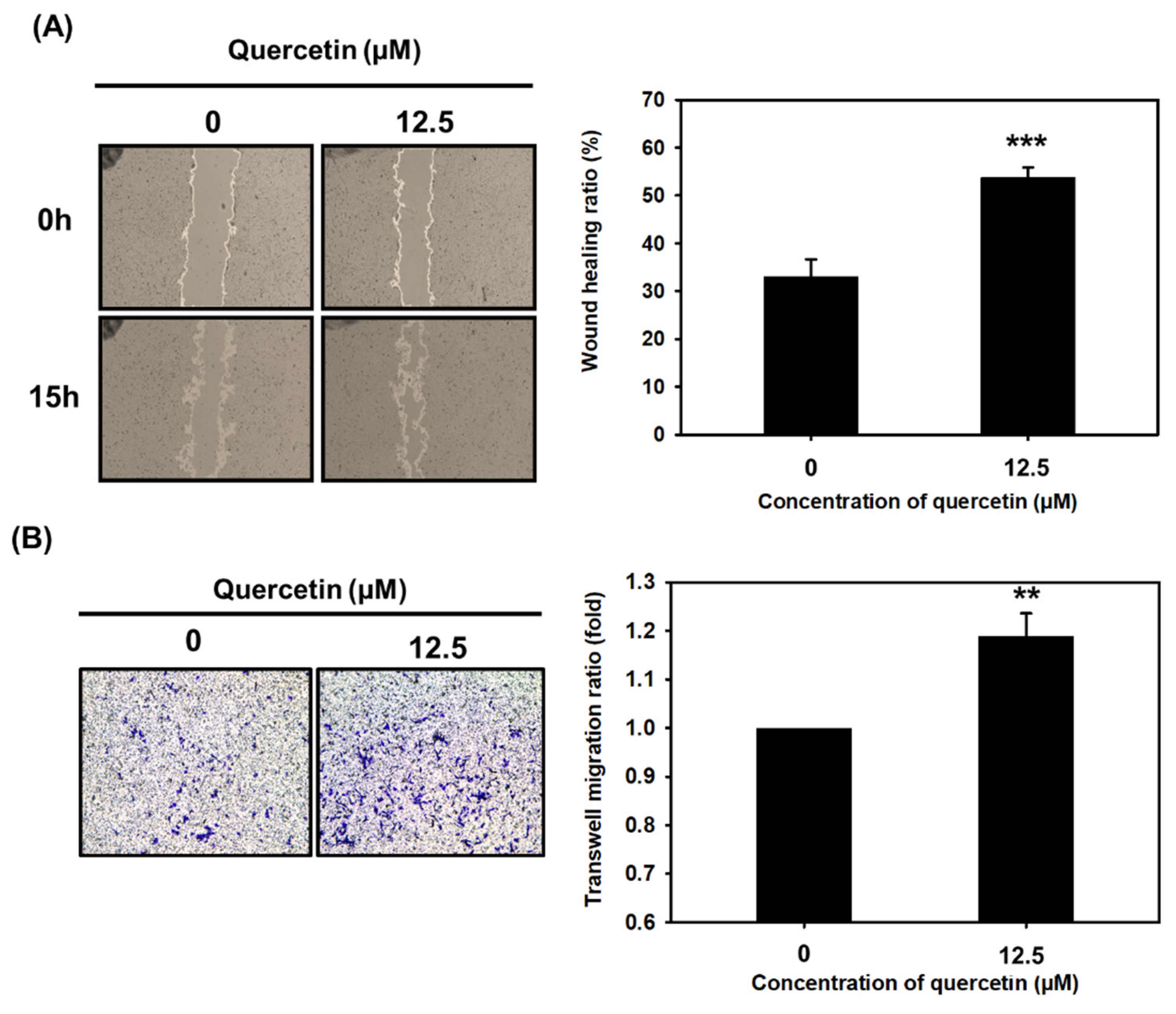 Nutrients 14 04106 g004 Nutrients 14 04106 g004