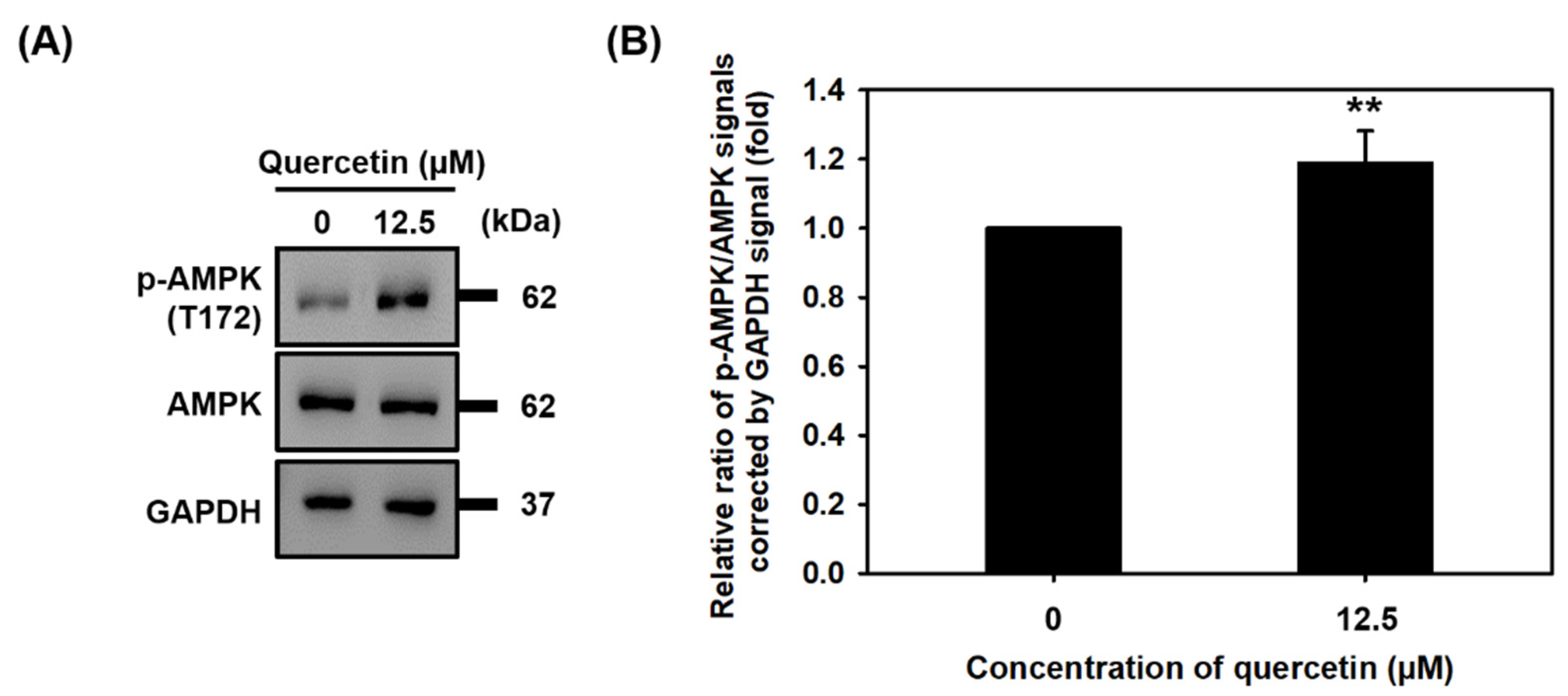 Nutrients 14 04106 g005 Nutrients 14 04106 g005