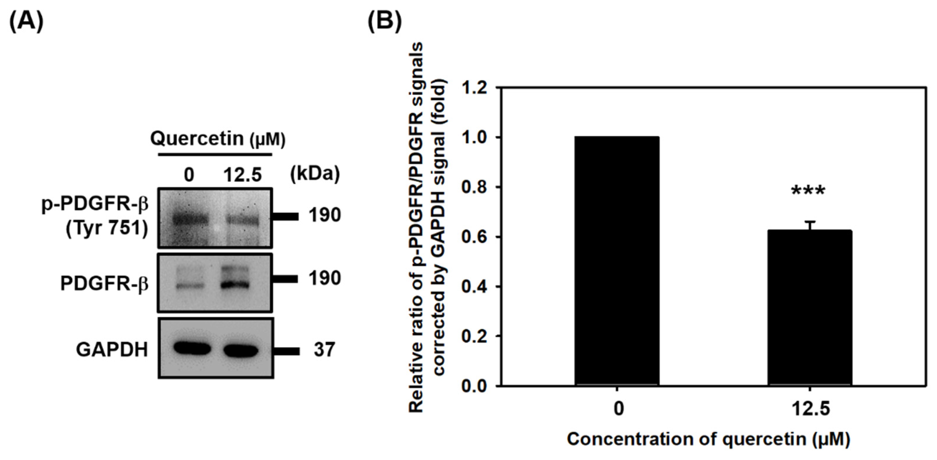 Nutrients 14 04106 g006 Nutrients 14 04106 g006