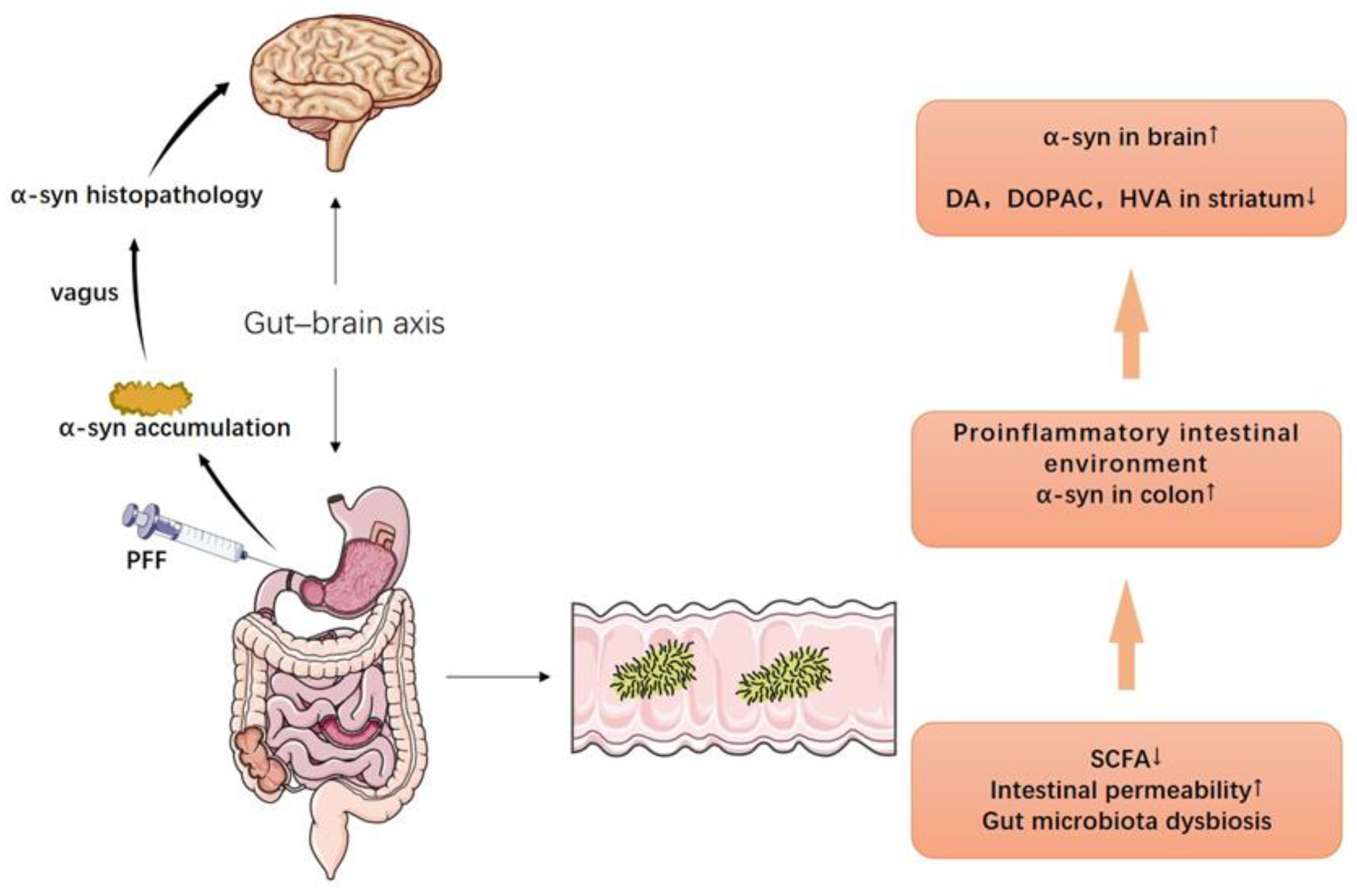 Nutrients 14 04108 g001