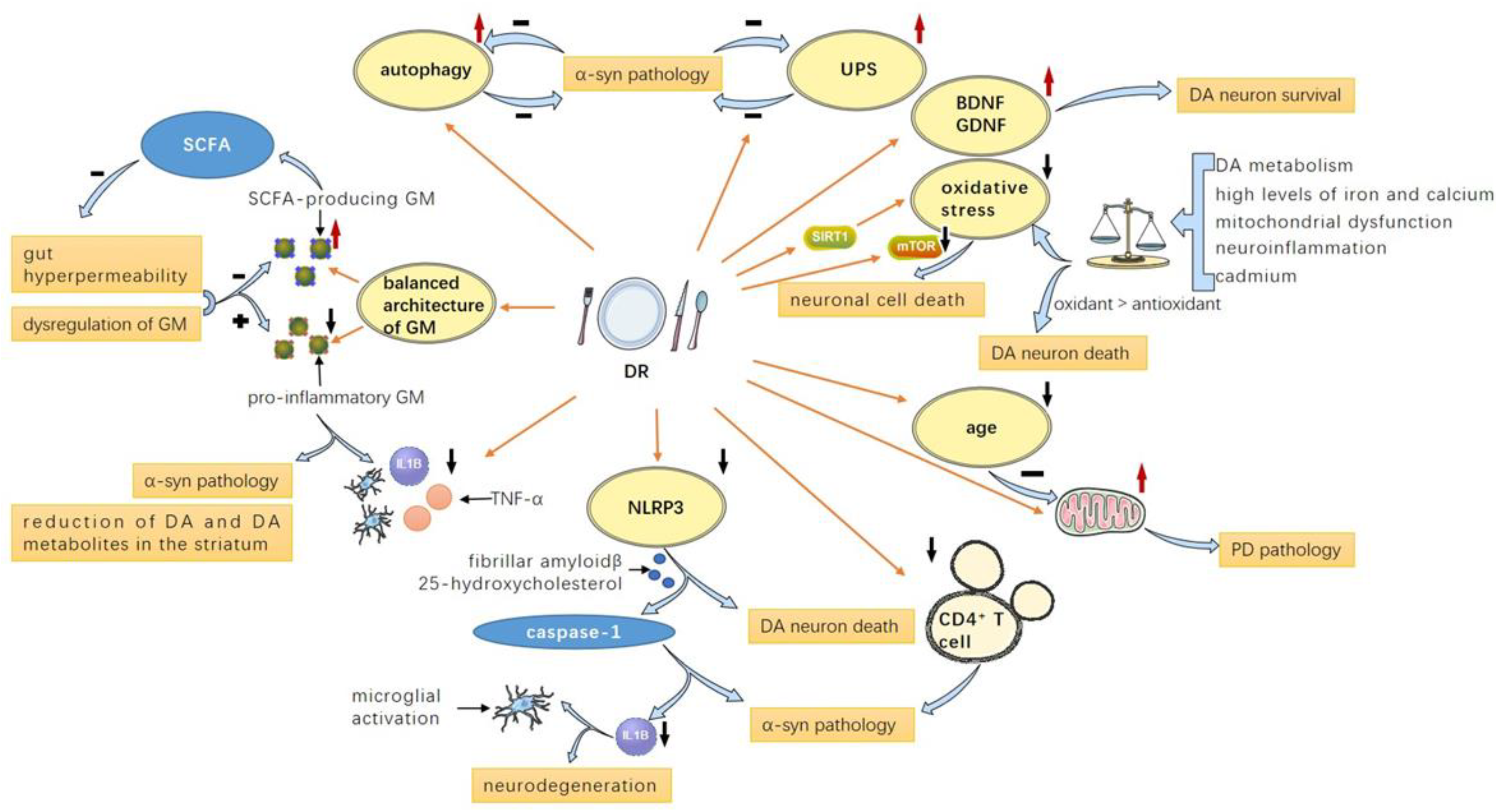 Nutrients 14 04108 g002