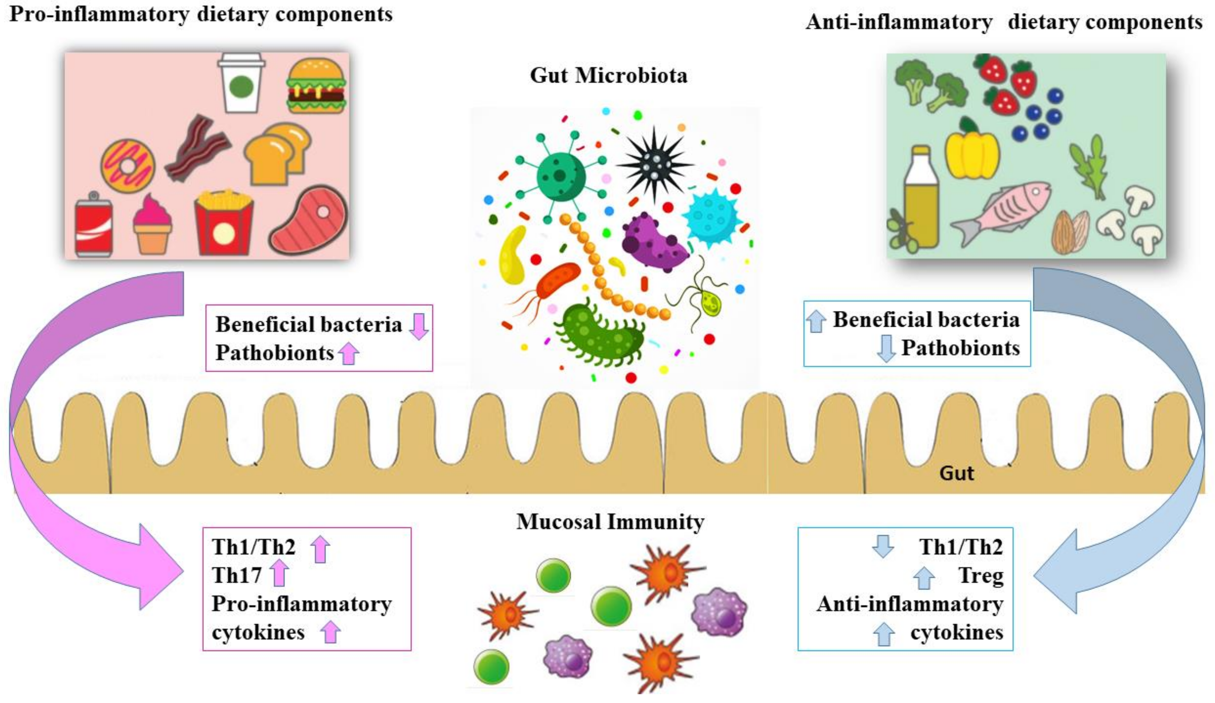 Nutrients 14 04117 g001 Nutrients 14 04117 g001