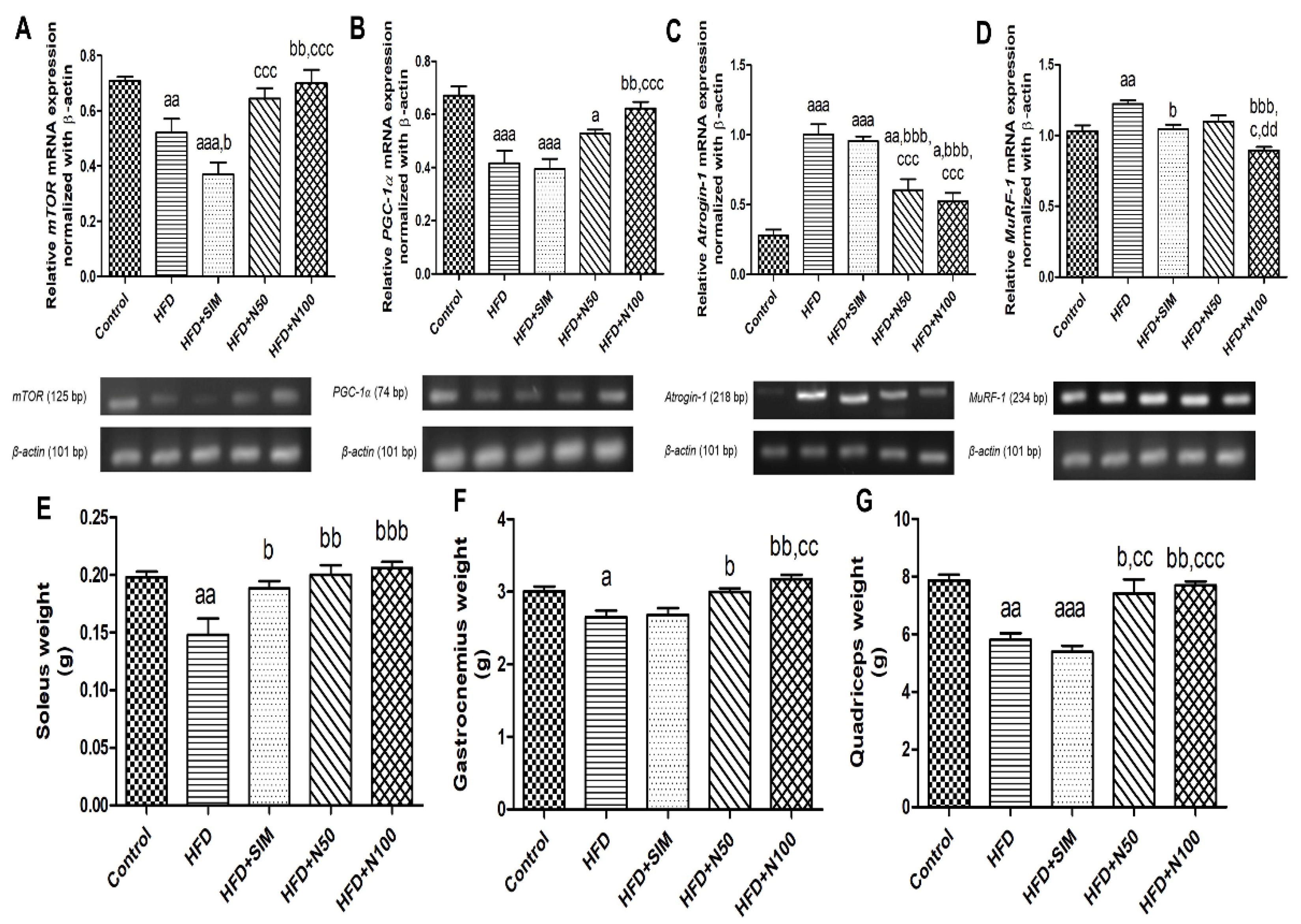 Nutrients 14 04120 g003 Nutrients 14 04120 g003