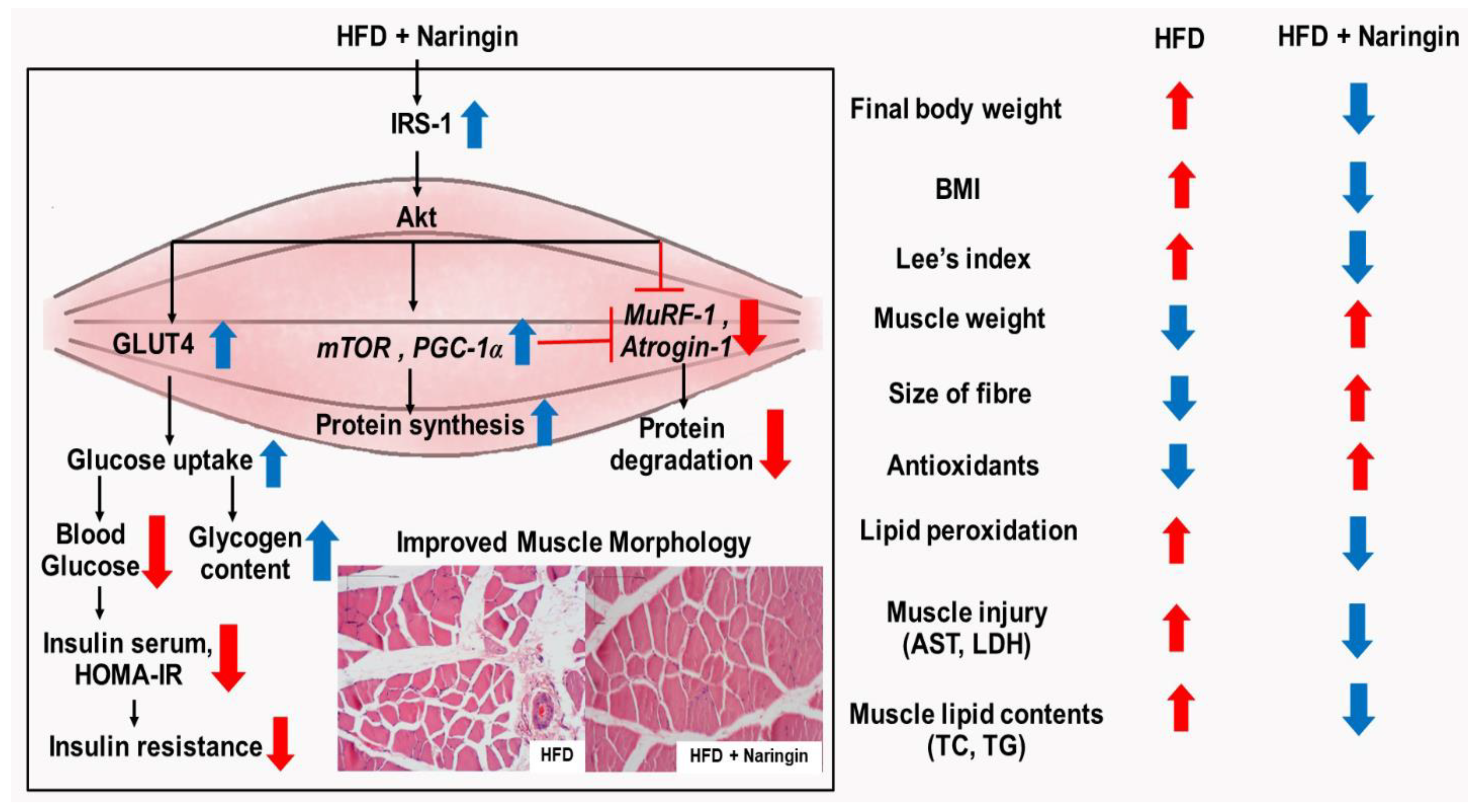 Nutrients 14 04120 g006 Nutrients 14 04120 g006