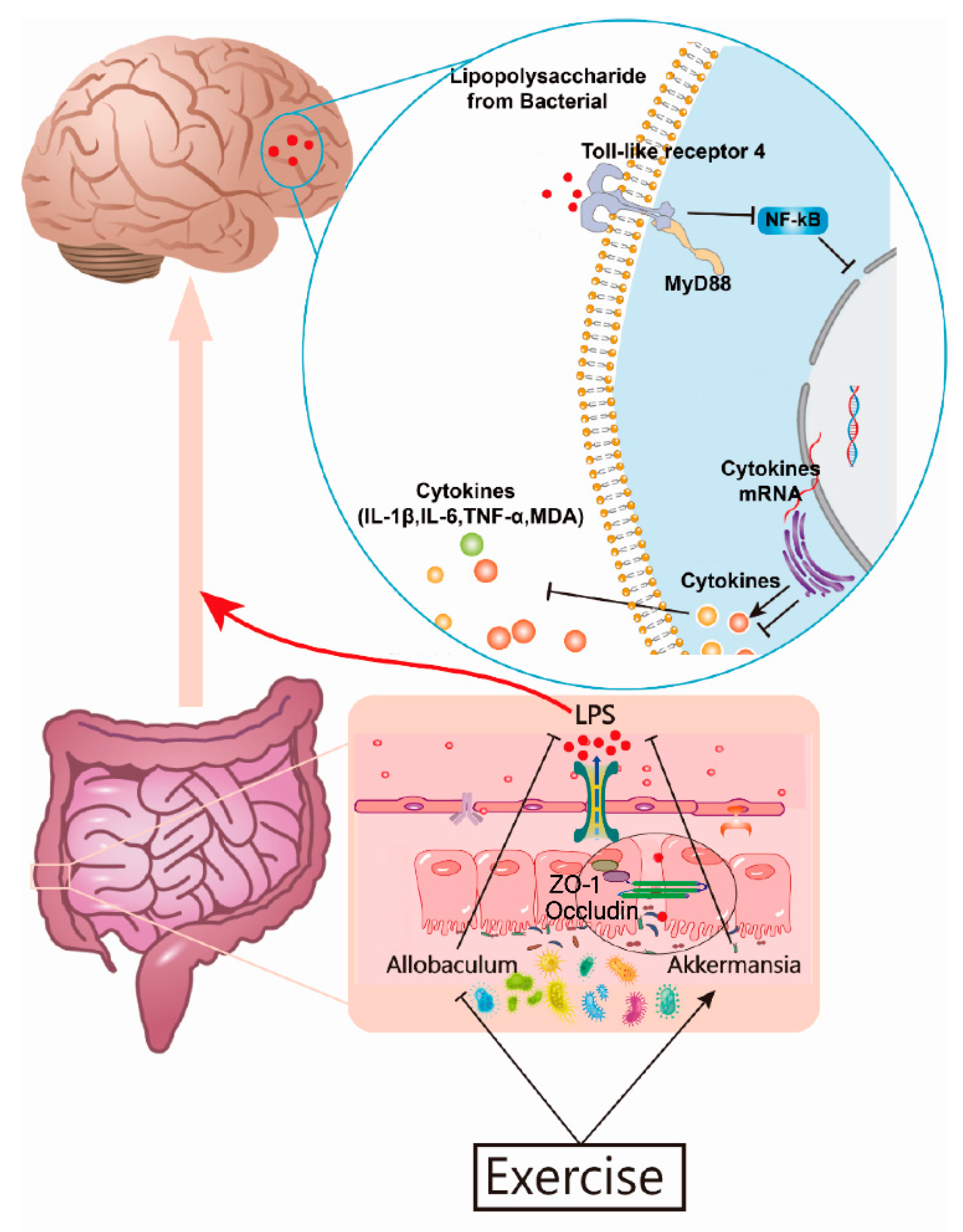 Nutrients 14 04134 g008