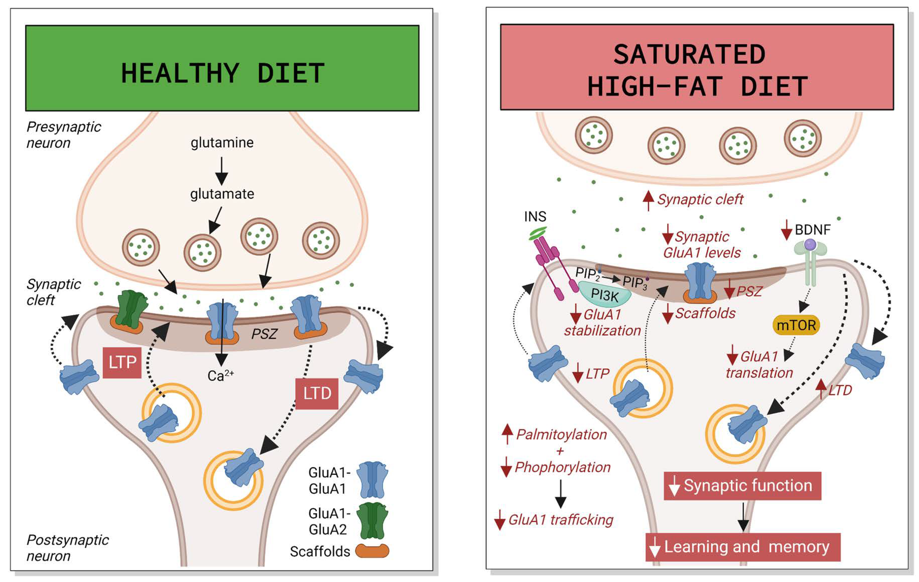 What's Your Ideal Body Fat Percent?, by Ryan Engel