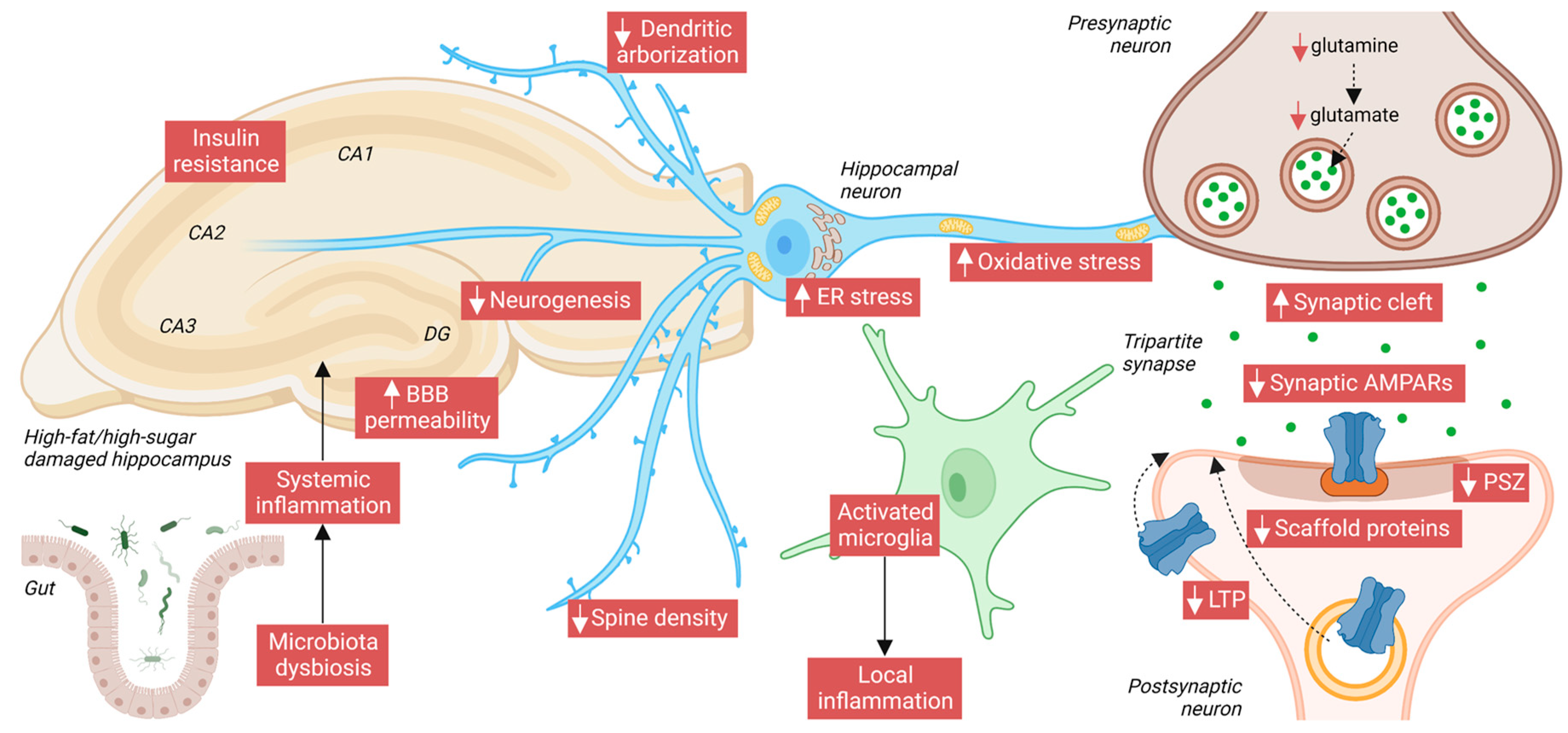 Nutrients 14 04137 g003 Nutrients 14 04137 g003