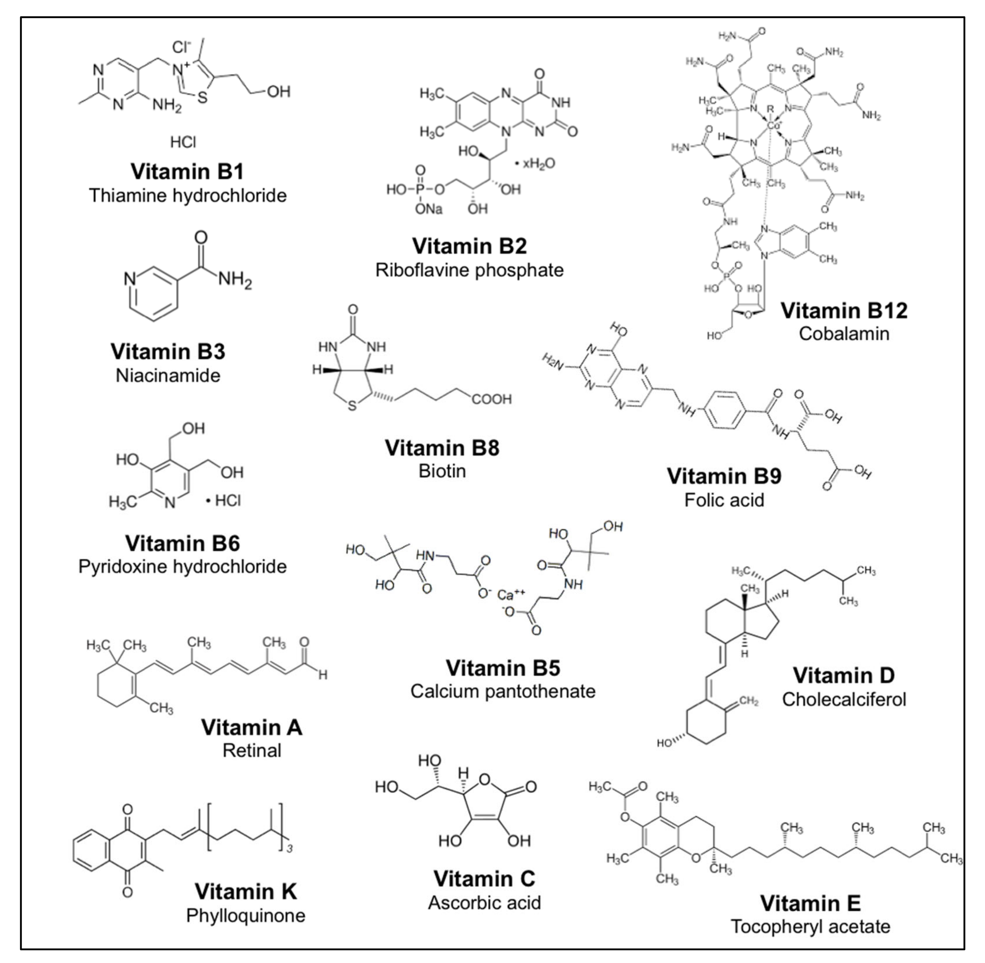 Nutrients 14 04141 g001 Nutrients 14 04141 g001