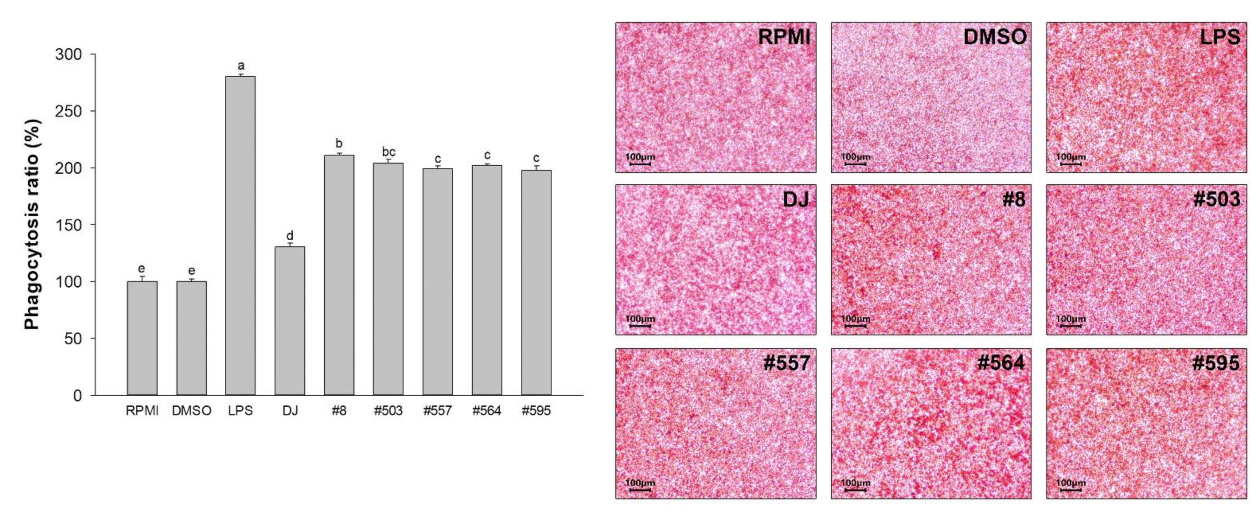 Nutrients 14 04143 g007 Nutrients 14 04143 g007