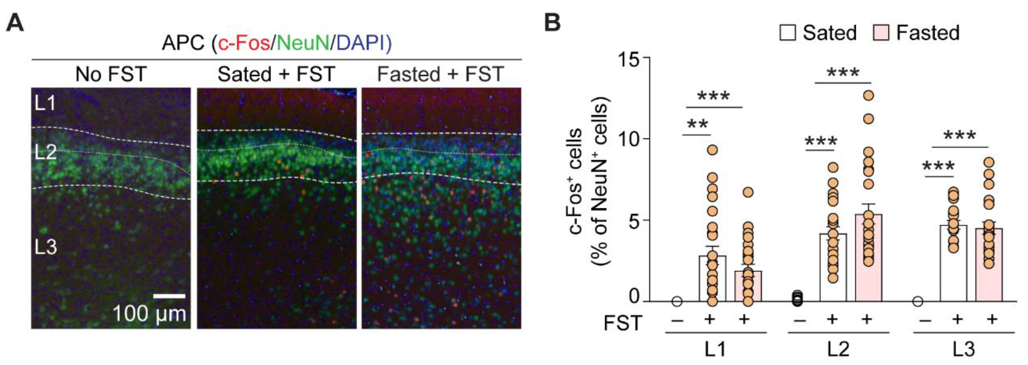Nutrients 14 04156 g002 Nutrients 14 04156 g002