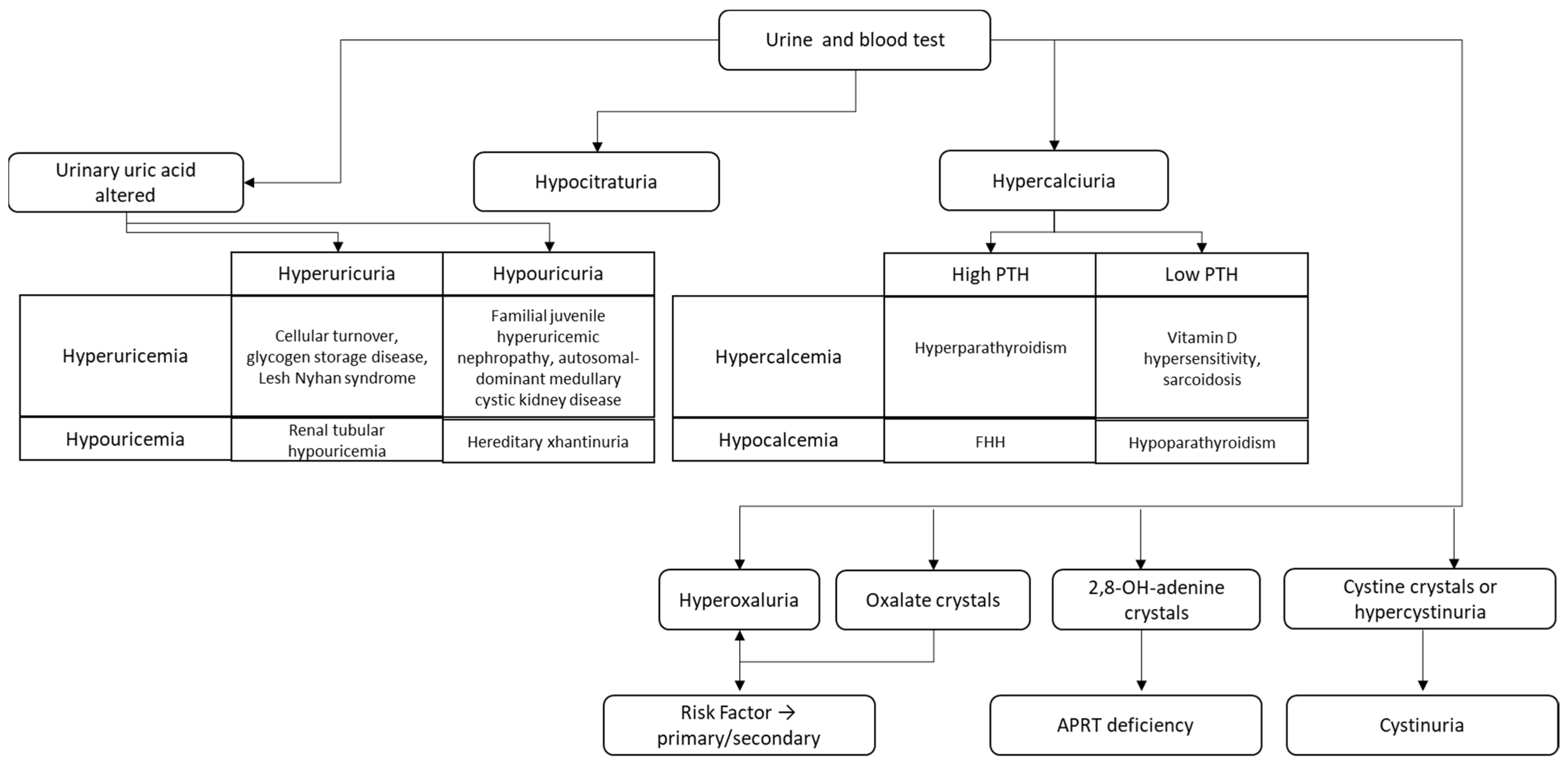 Nutrients 14 04161 g001