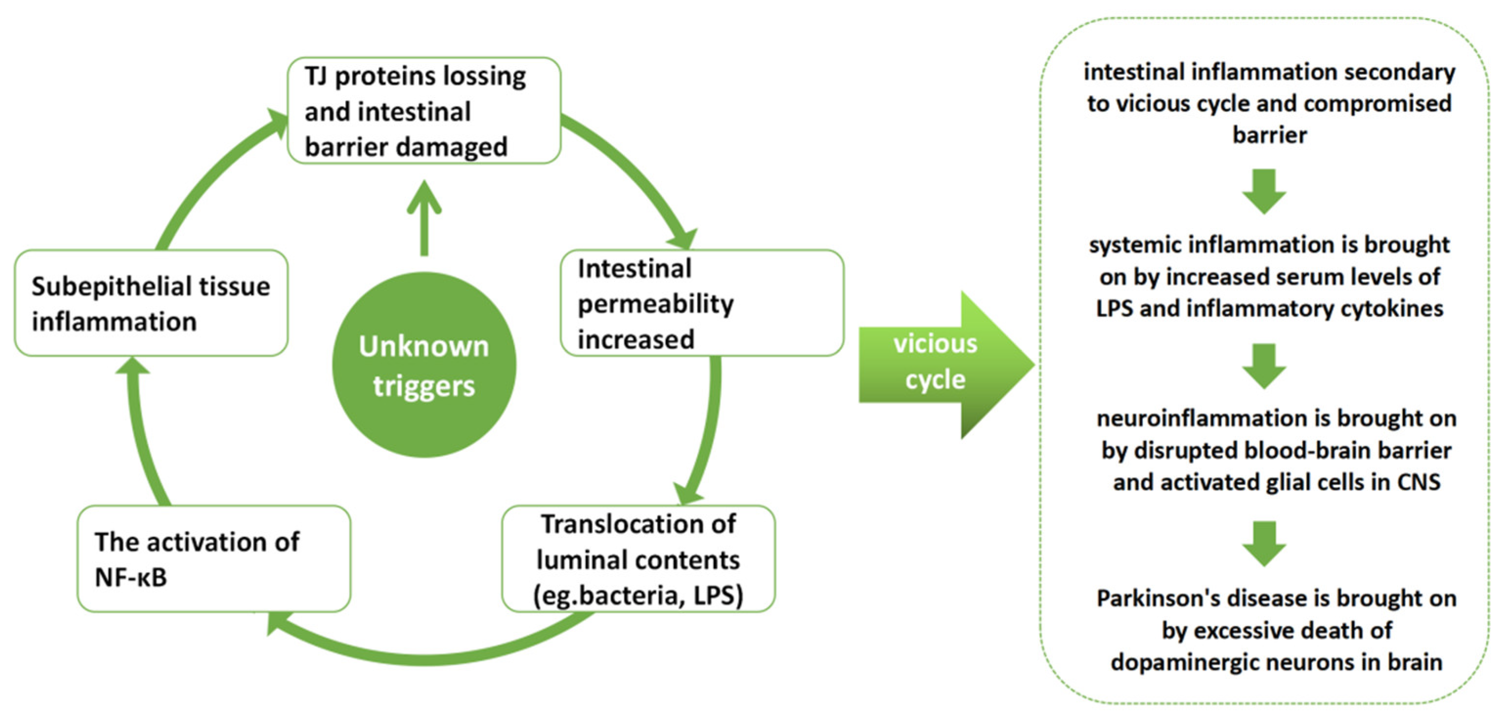 Nutrients 14 04163 g001 Nutrients 14 04163 g001
