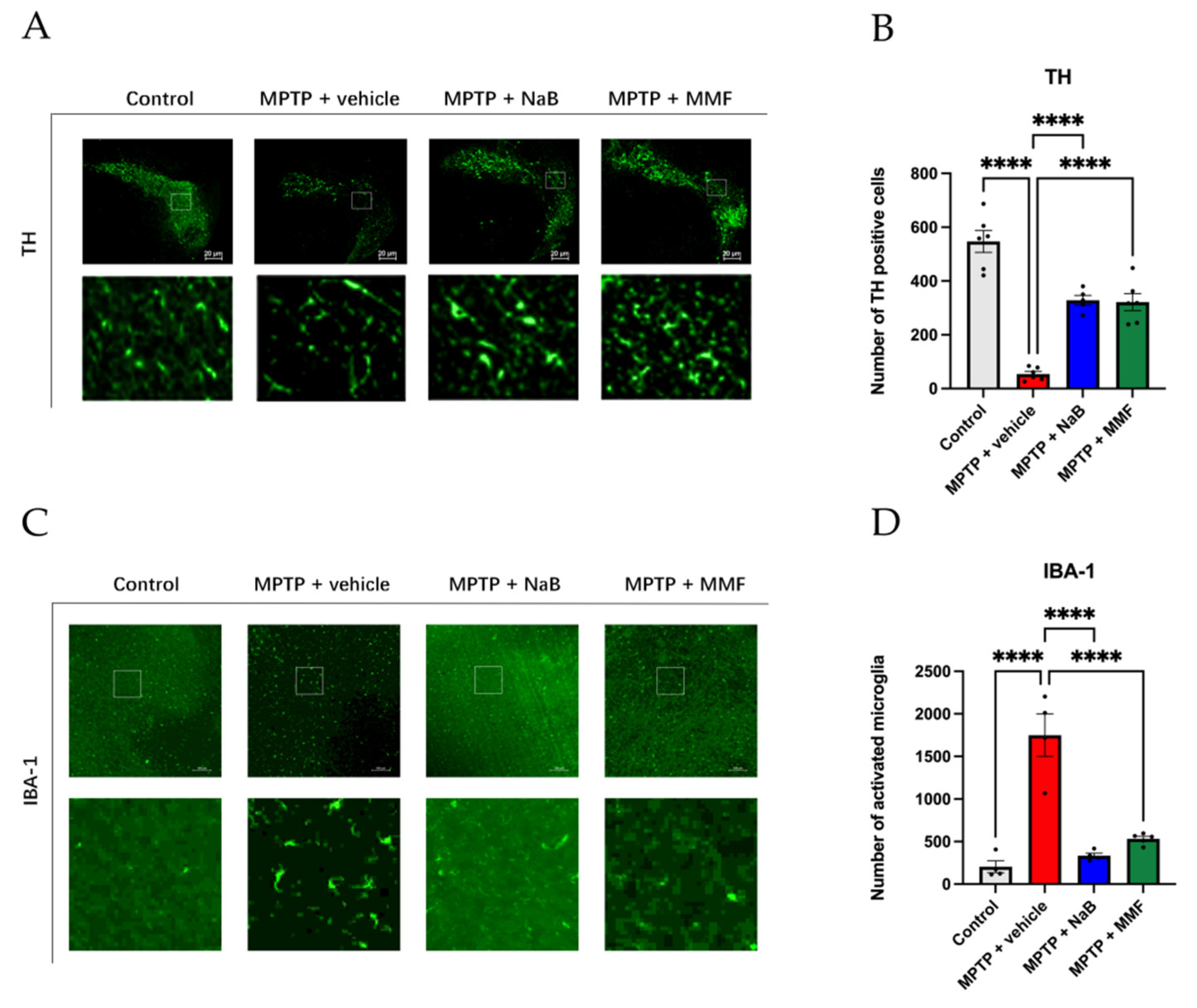 Nutrients 14 04163 g005 Nutrients 14 04163 g005