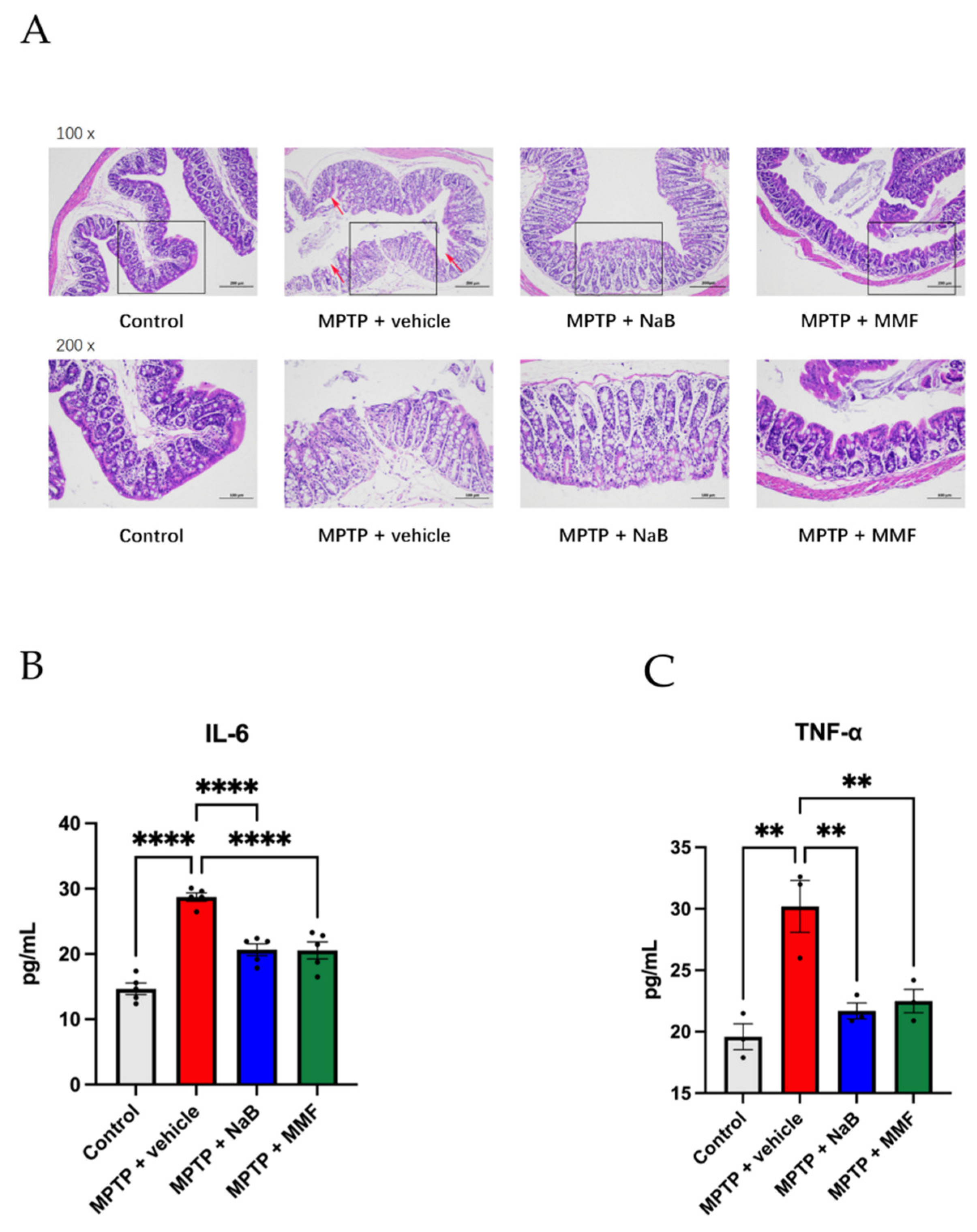 Nutrients 14 04163 g007 Nutrients 14 04163 g007