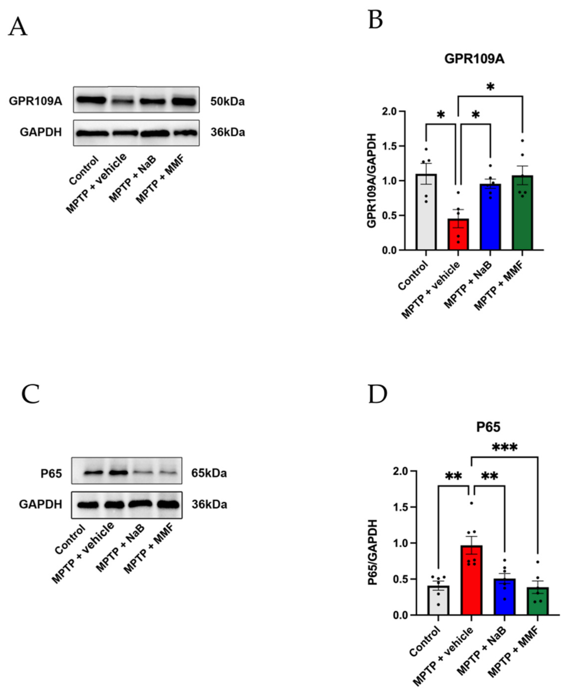 Nutrients 14 04163 g008 Nutrients 14 04163 g008