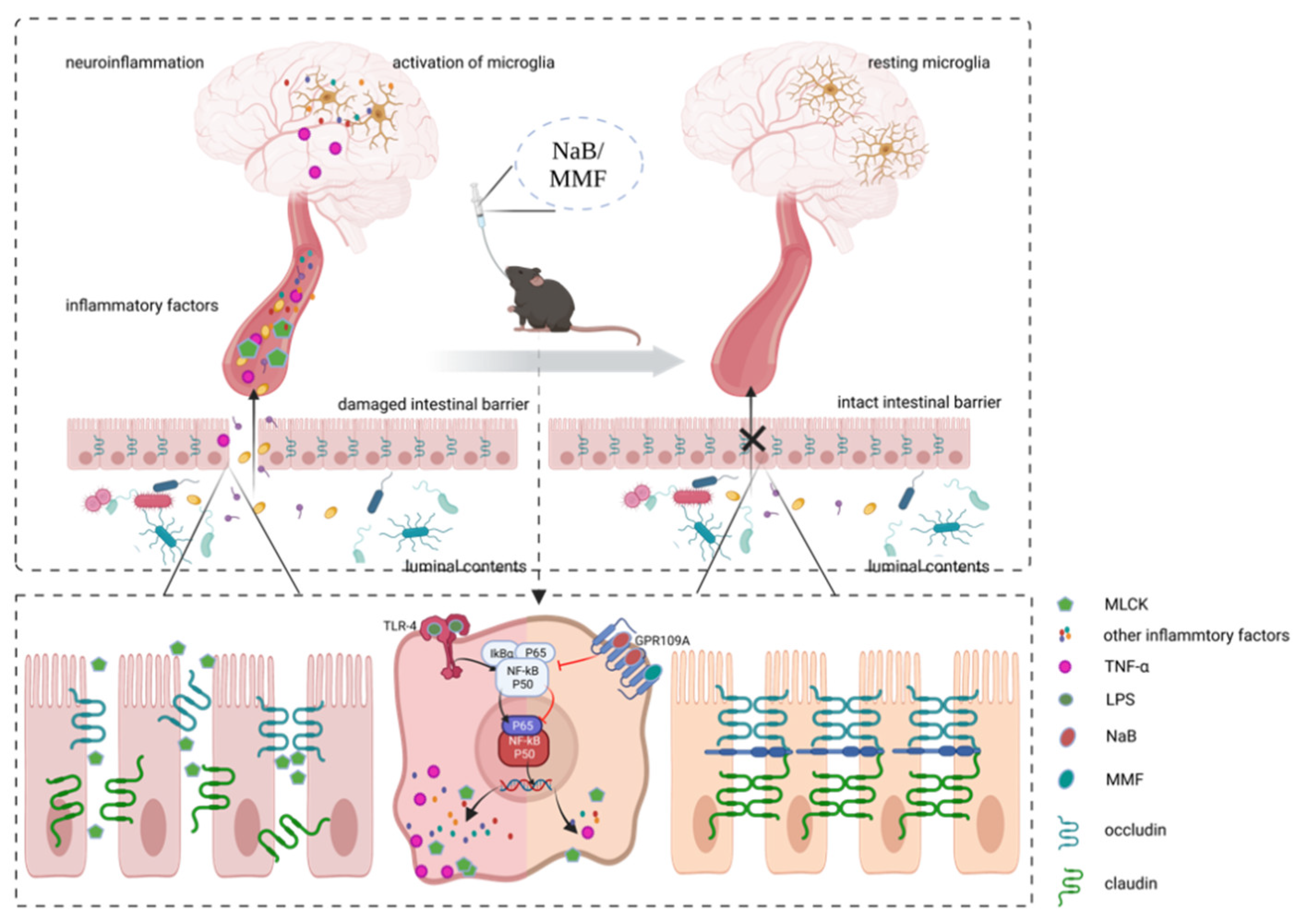 Nutrients 14 04163 g009 Nutrients 14 04163 g009