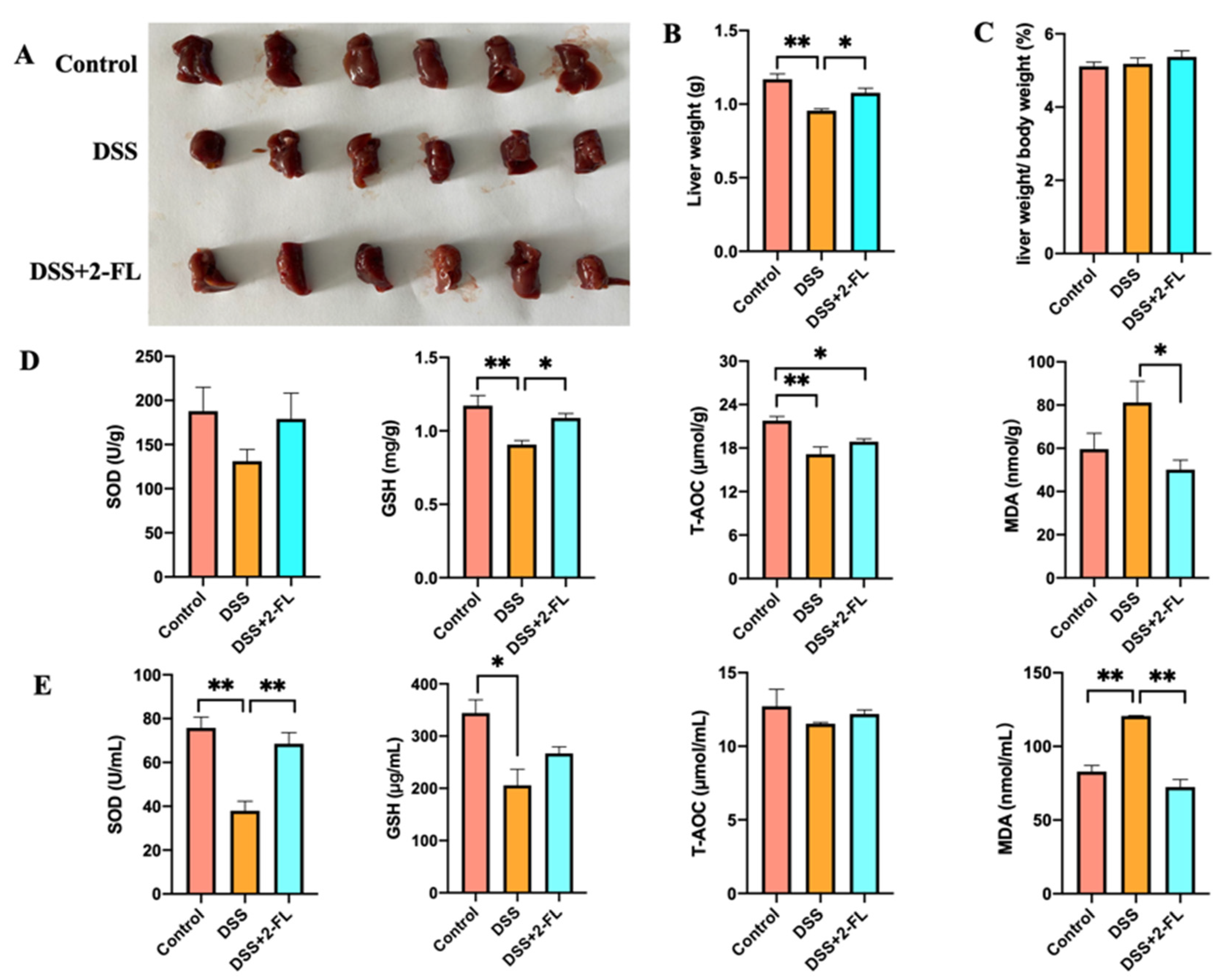 Nutrients 14 04186 g001 Nutrients 14 04186 g001