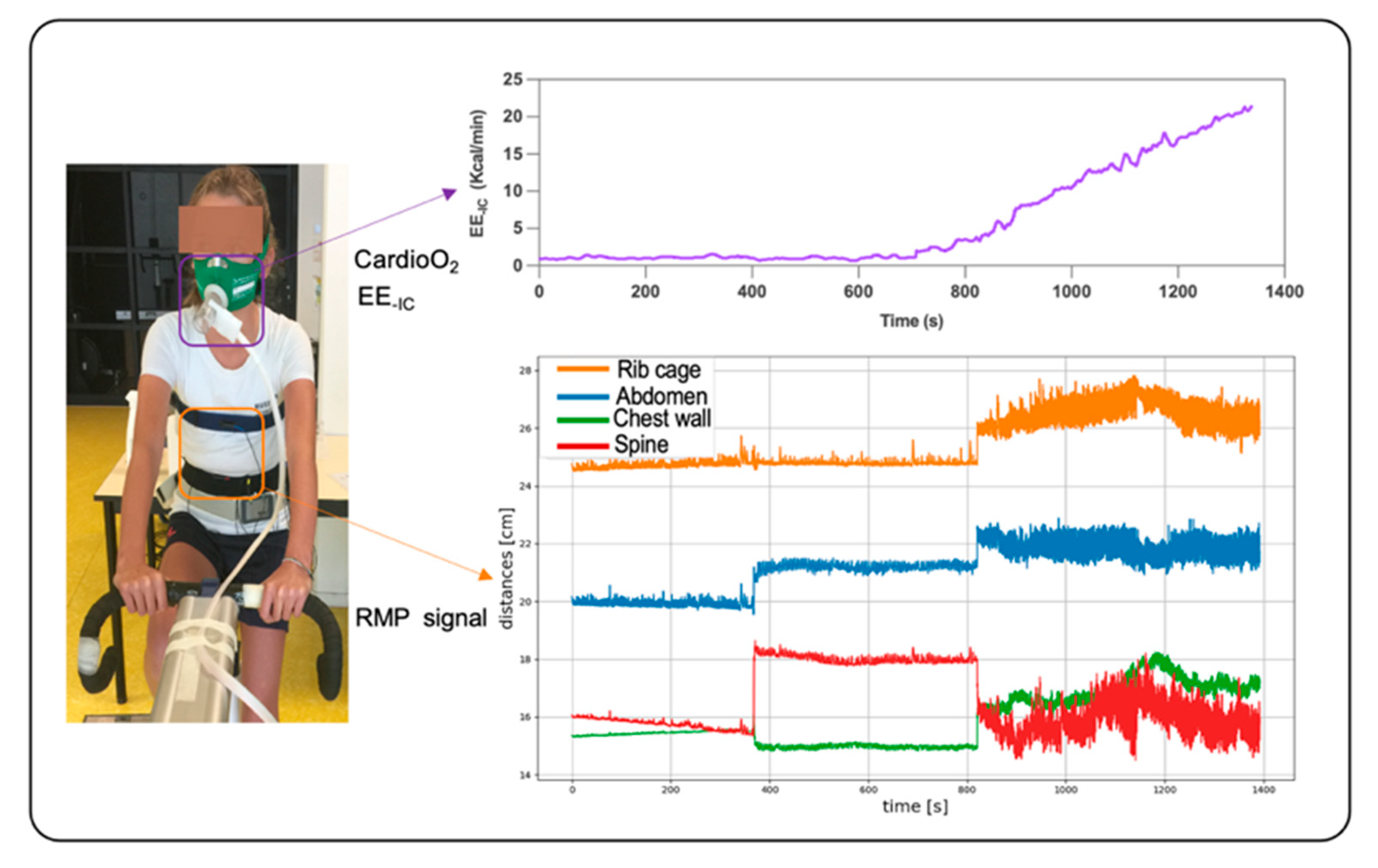 Nutrients 14 04190 g001
