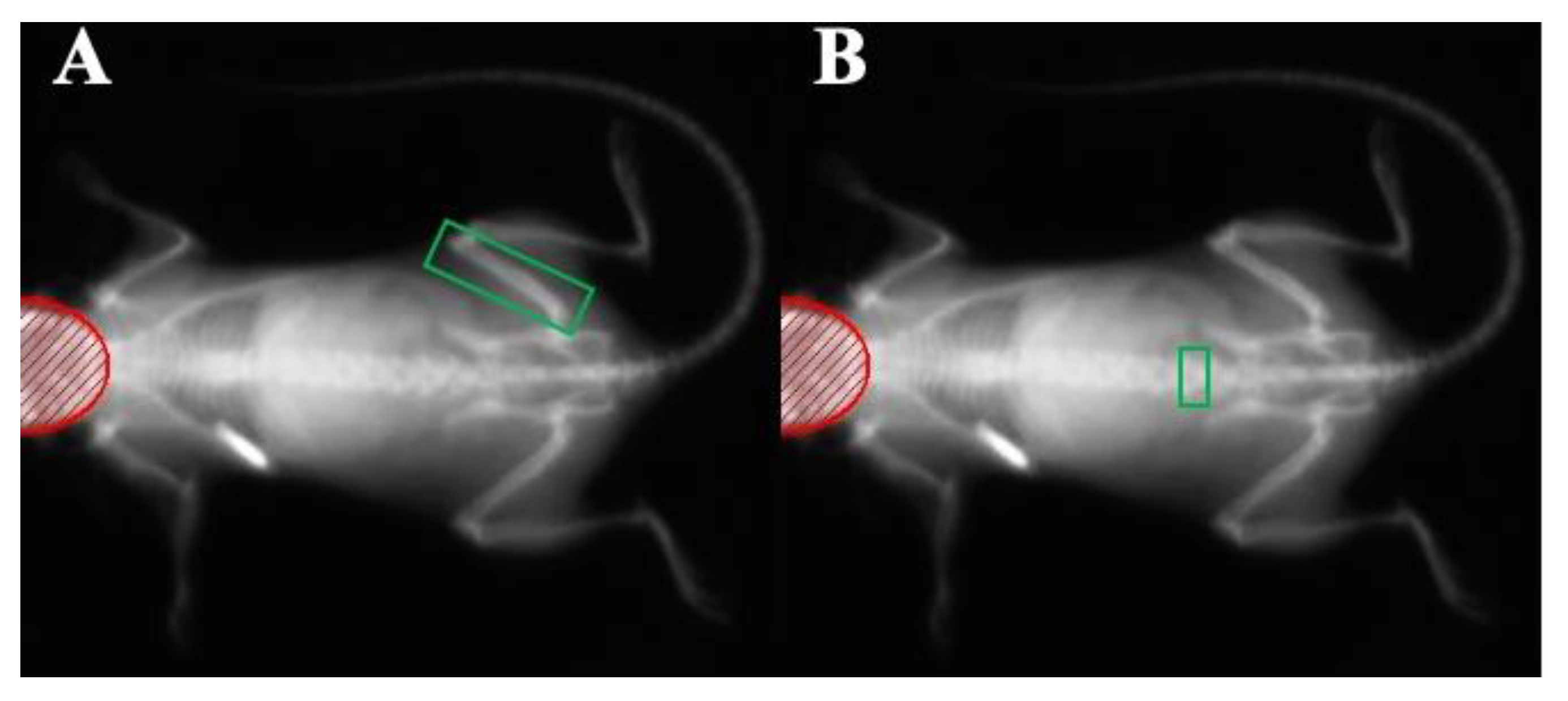 Nutrients 14 04224 g001