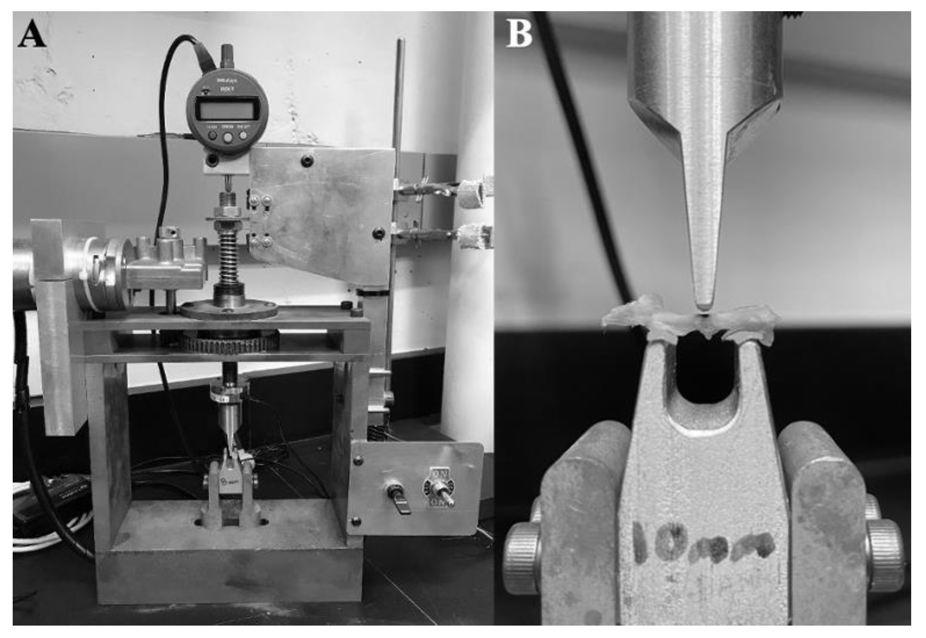 Nutrients 14 04224 g003
