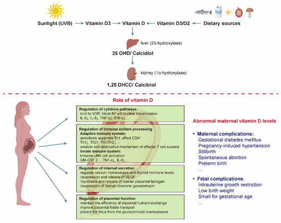 nutrients-free-full-text-relationship-between-maternal-vitamin-d