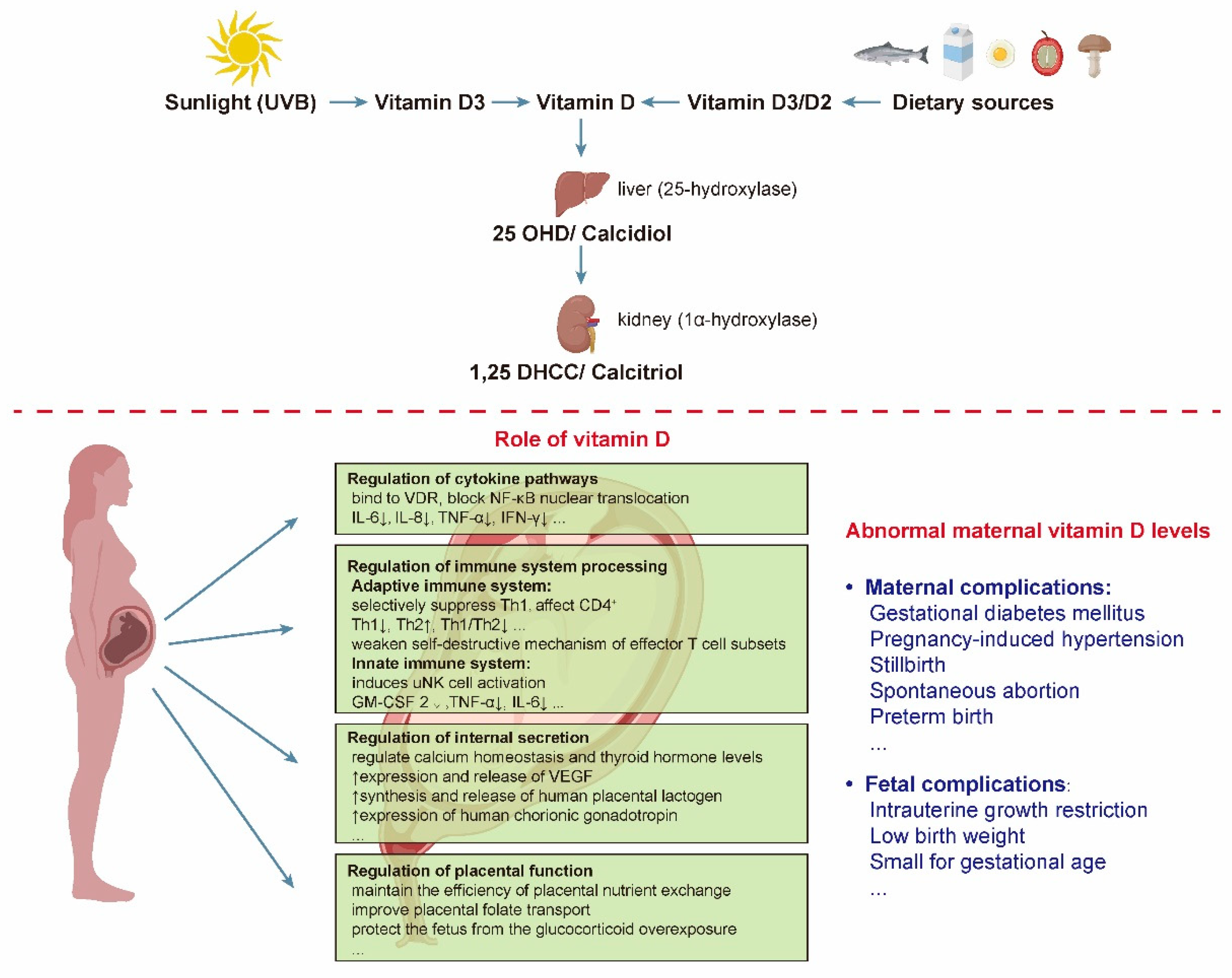 Nutrients 14 04230 g001 Nutrients 14 04230 g001