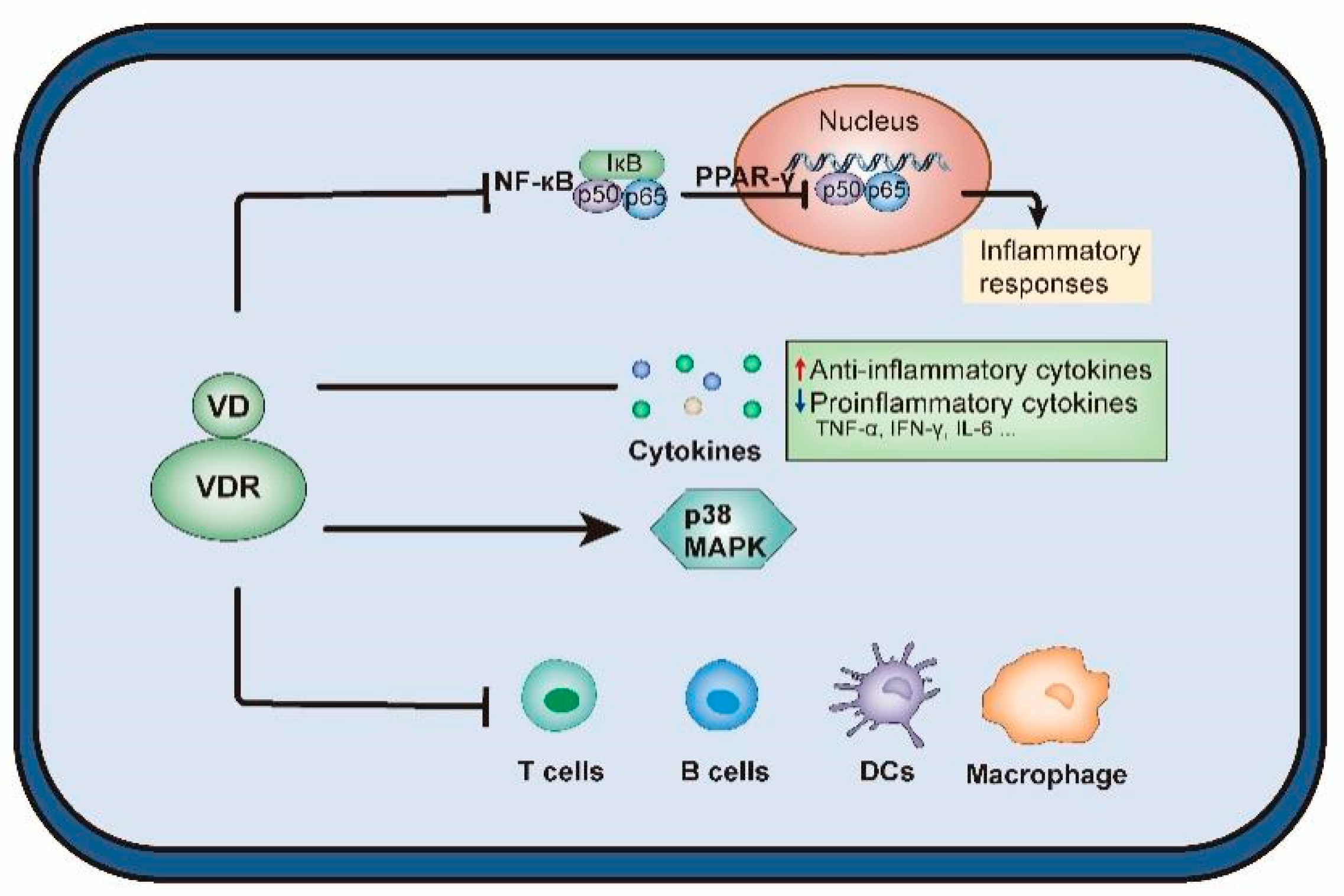 Nutrients 14 04230 g002 Nutrients 14 04230 g002