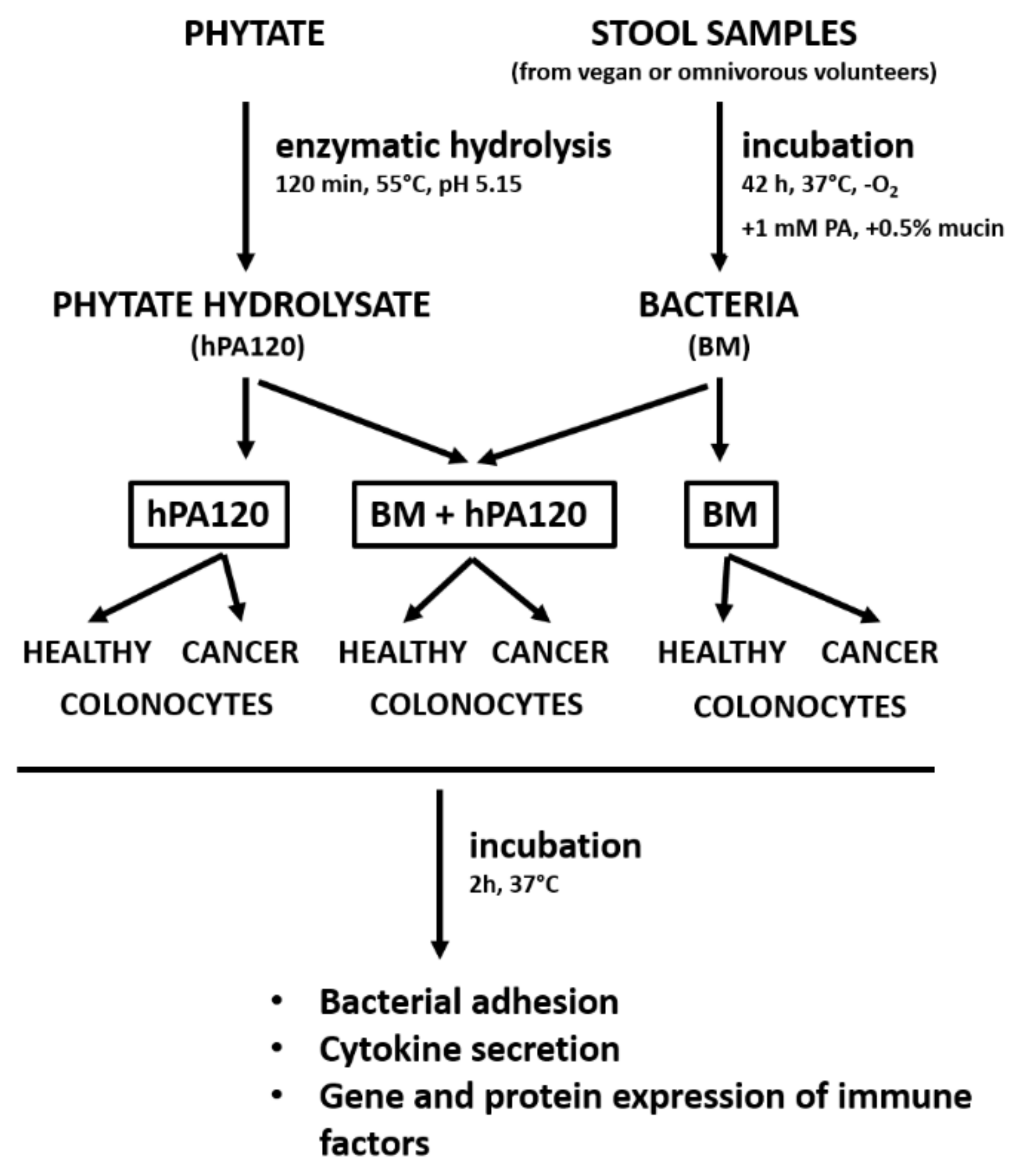 Nutrients 14 04234 g001
