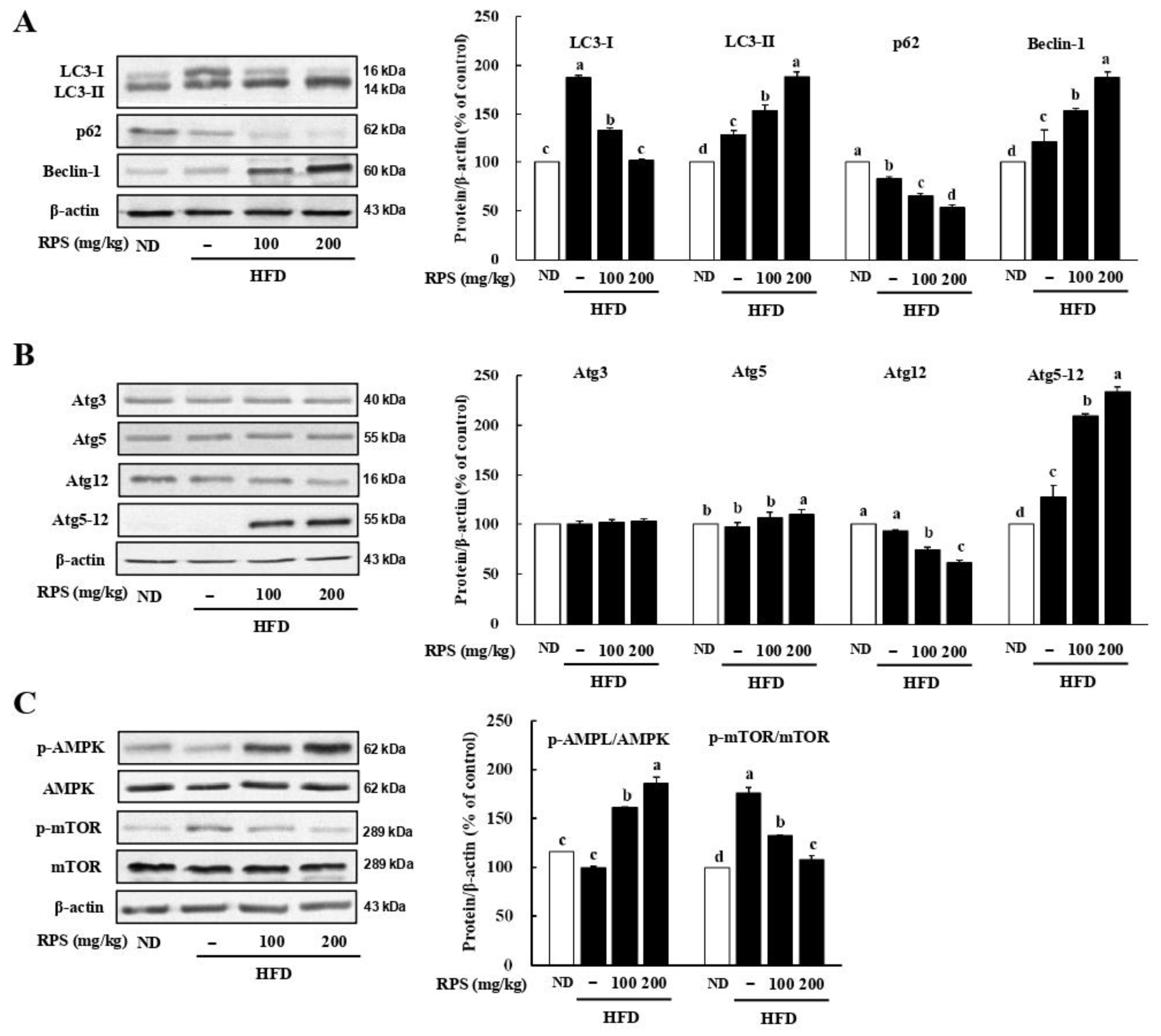Nutrients 14 04247 g002 Nutrients 14 04247 g002
