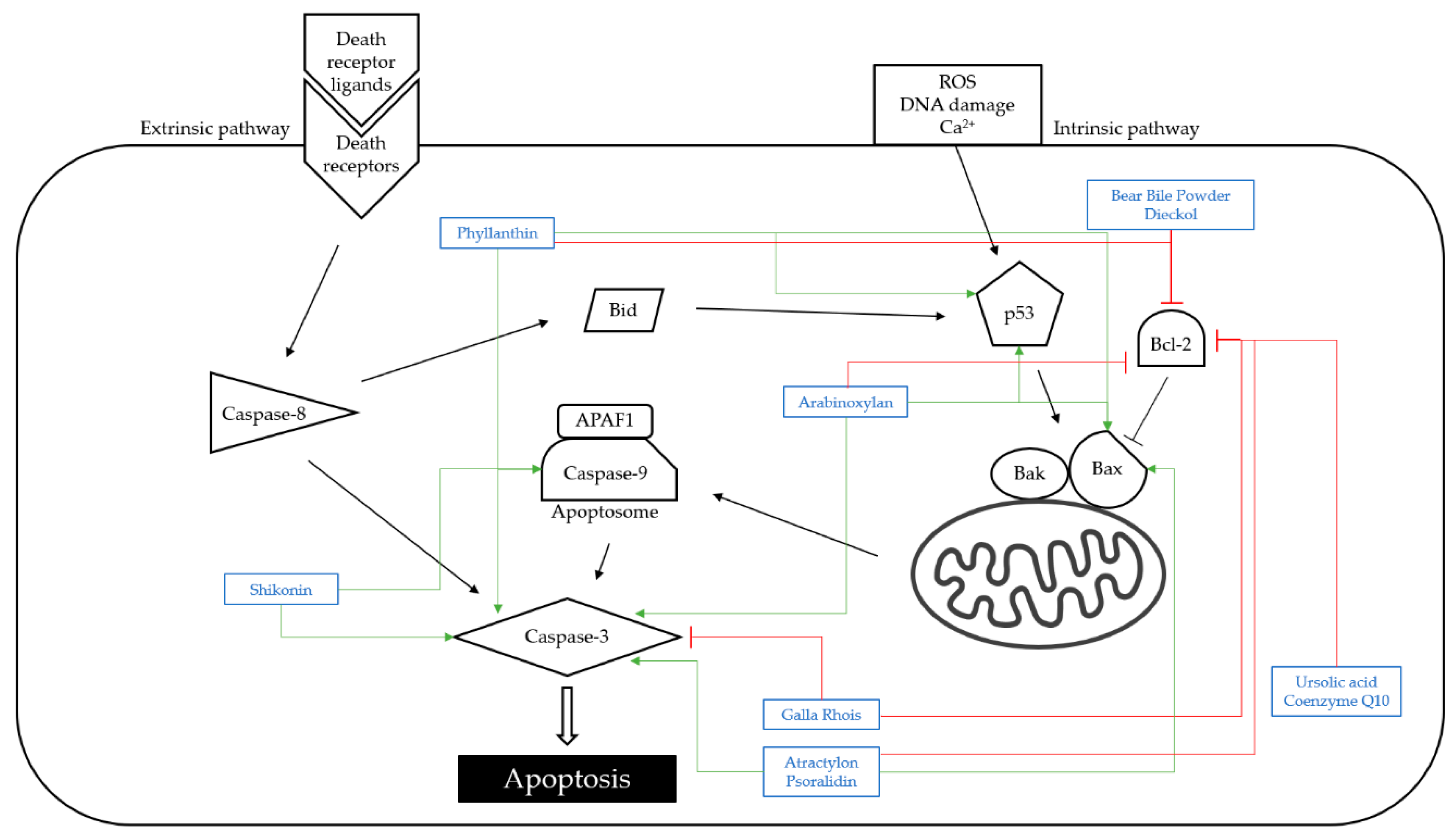 Nutrients 14 04252 g001